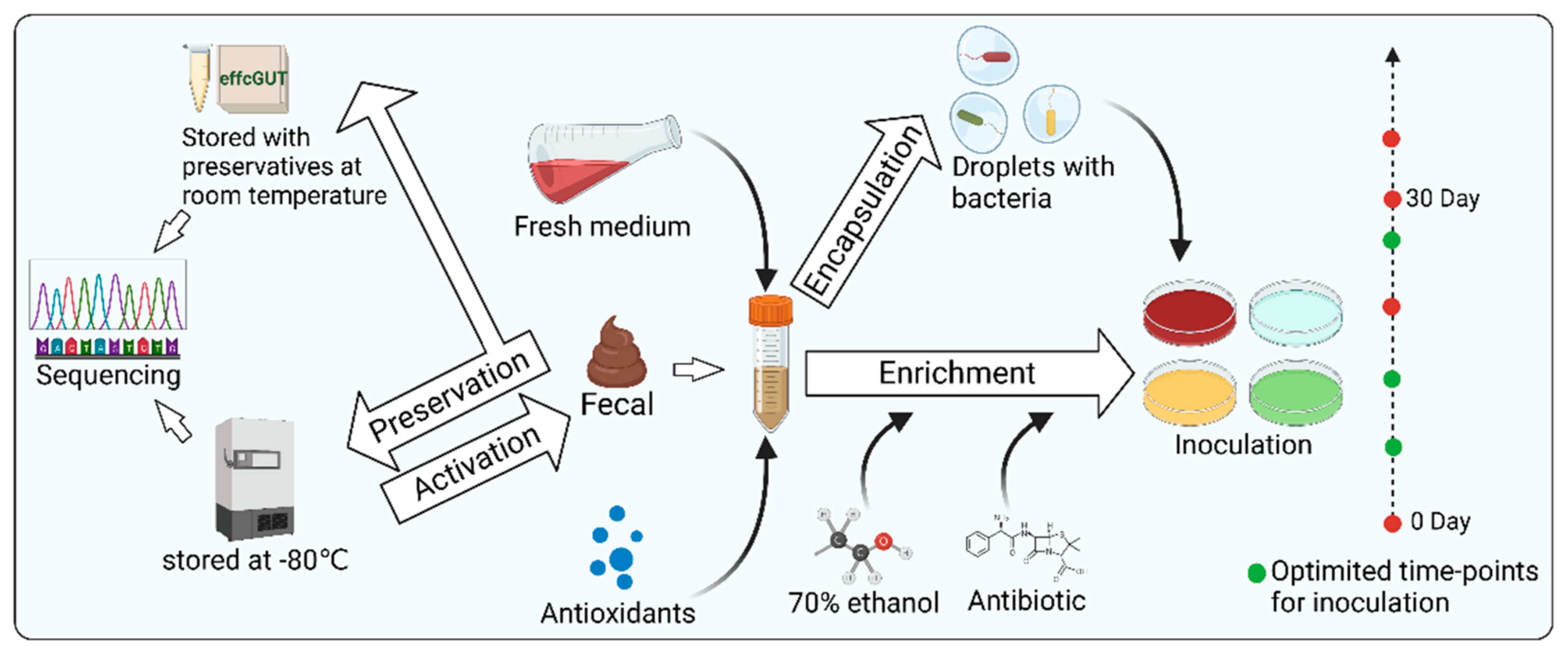 Microorganisms 11 01080 g003