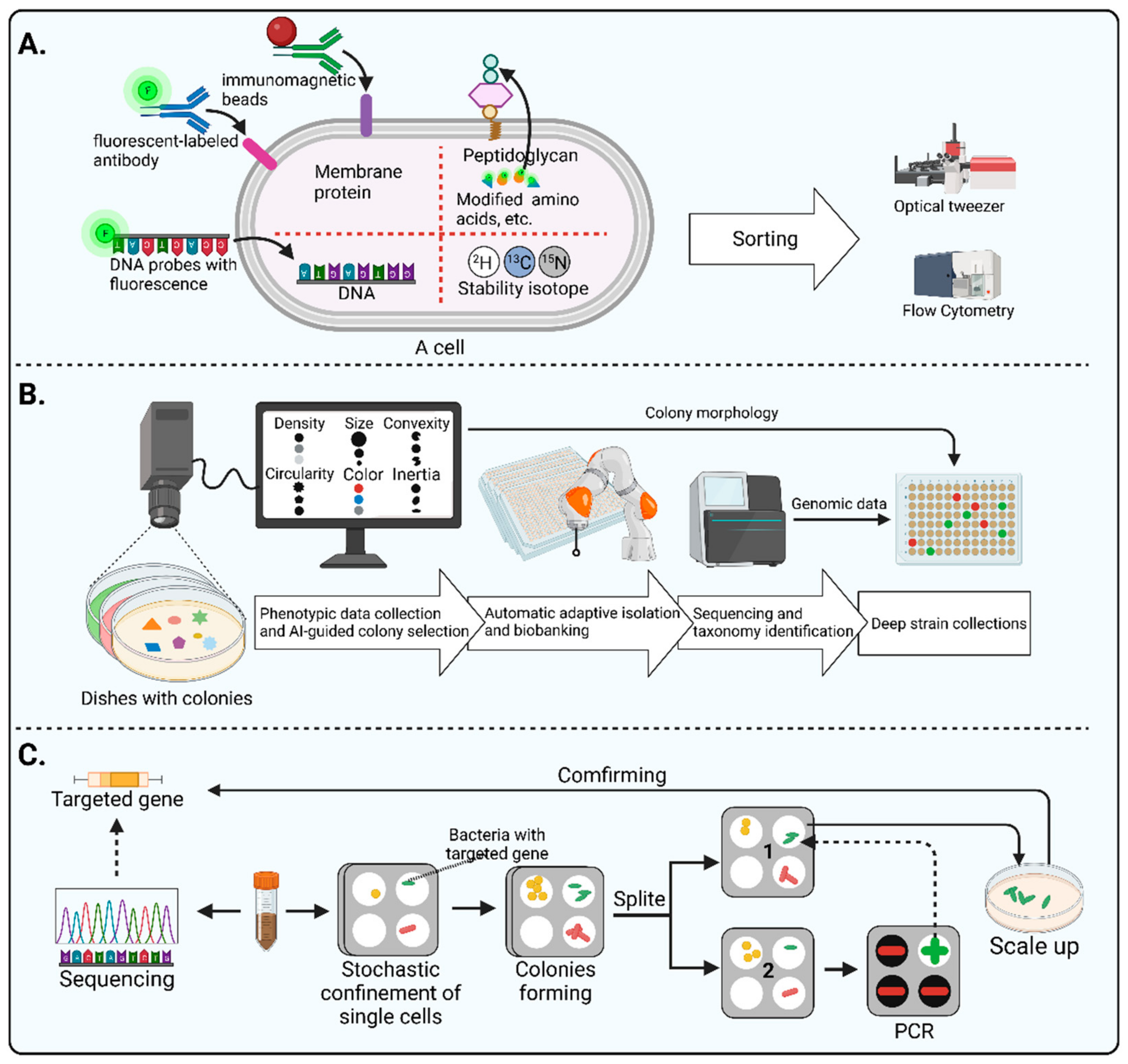 Microorganisms 11 01080 g004