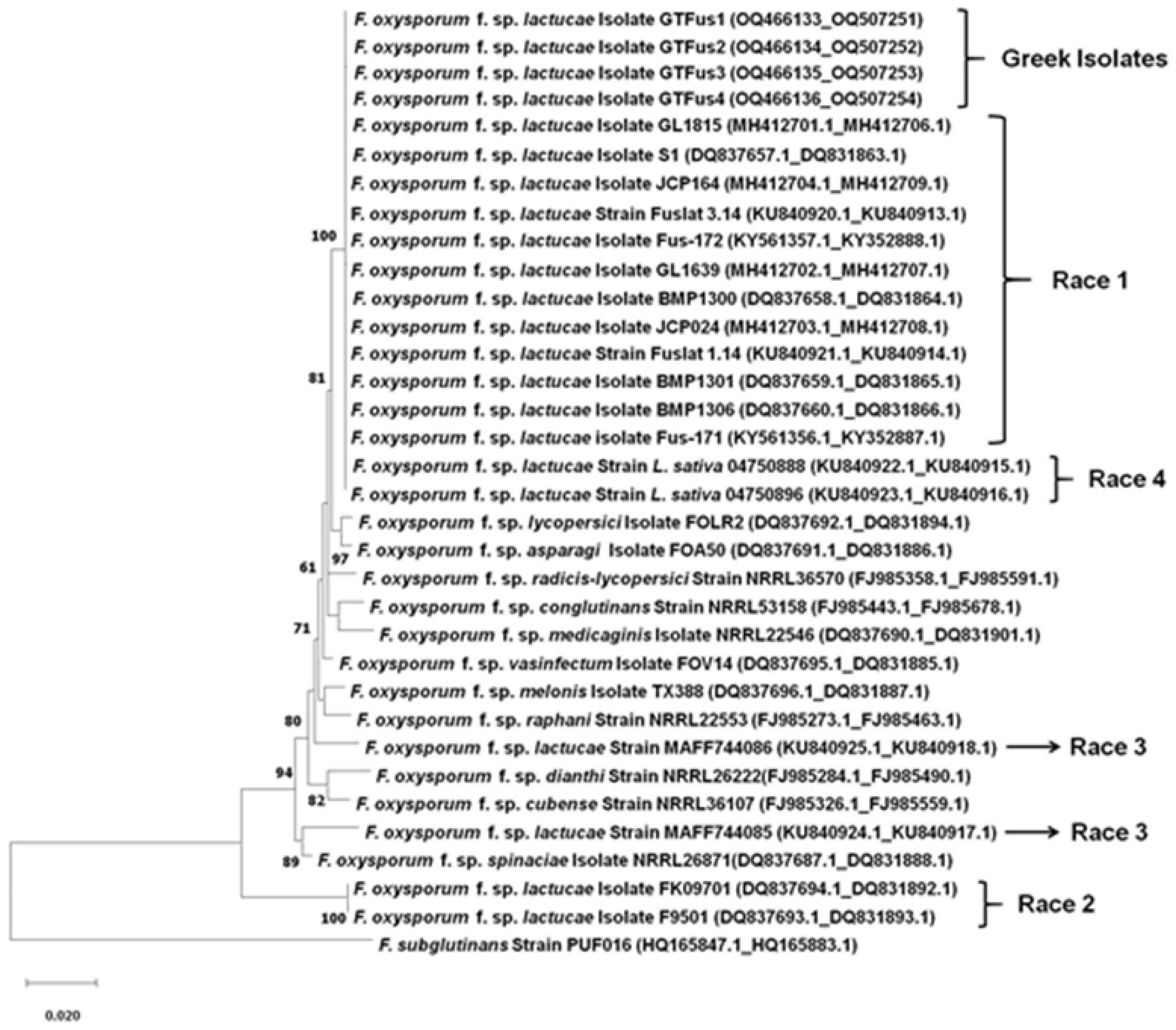 Microorganisms 11 01082 g001