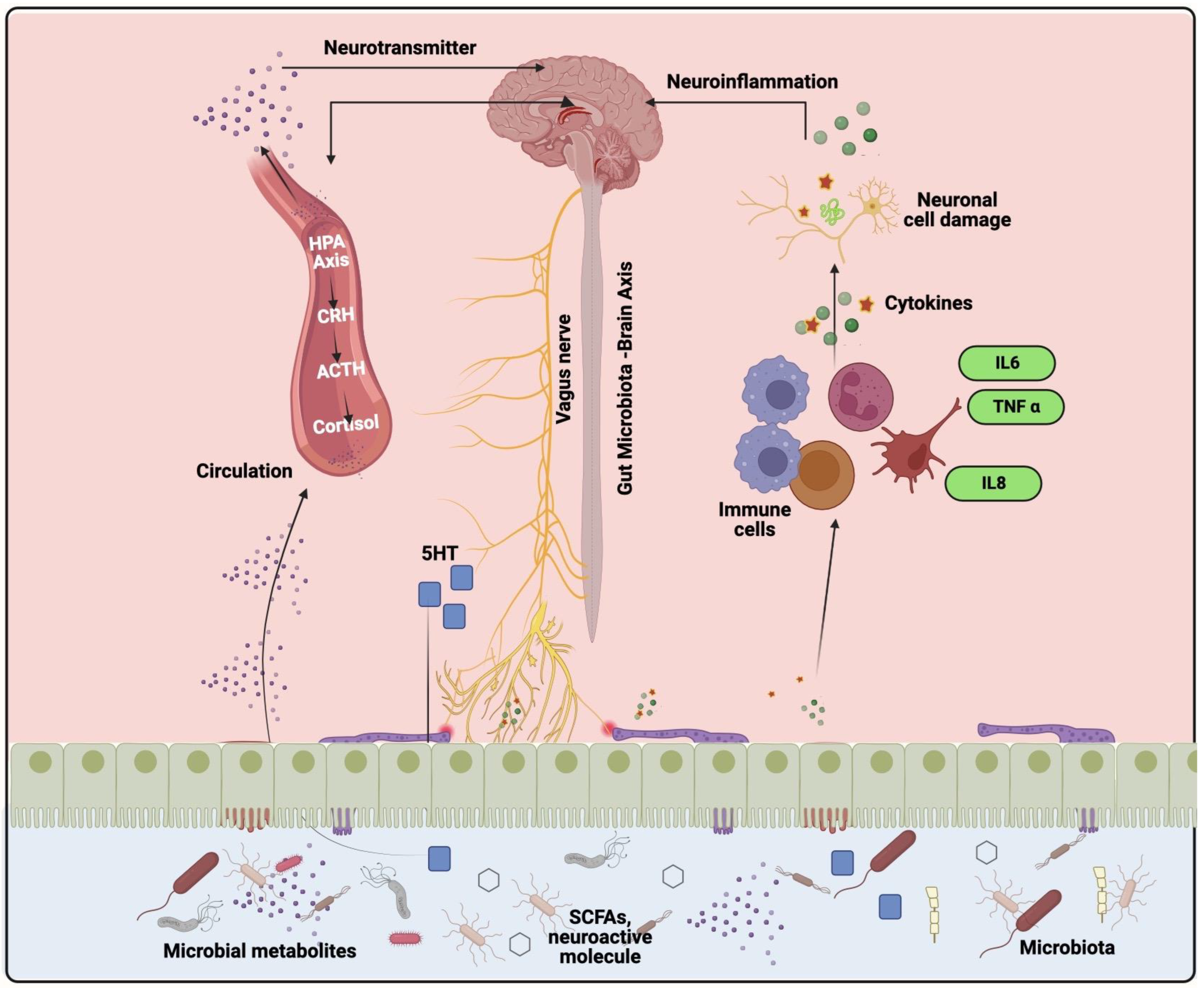 Microorganisms 11 01083 g002