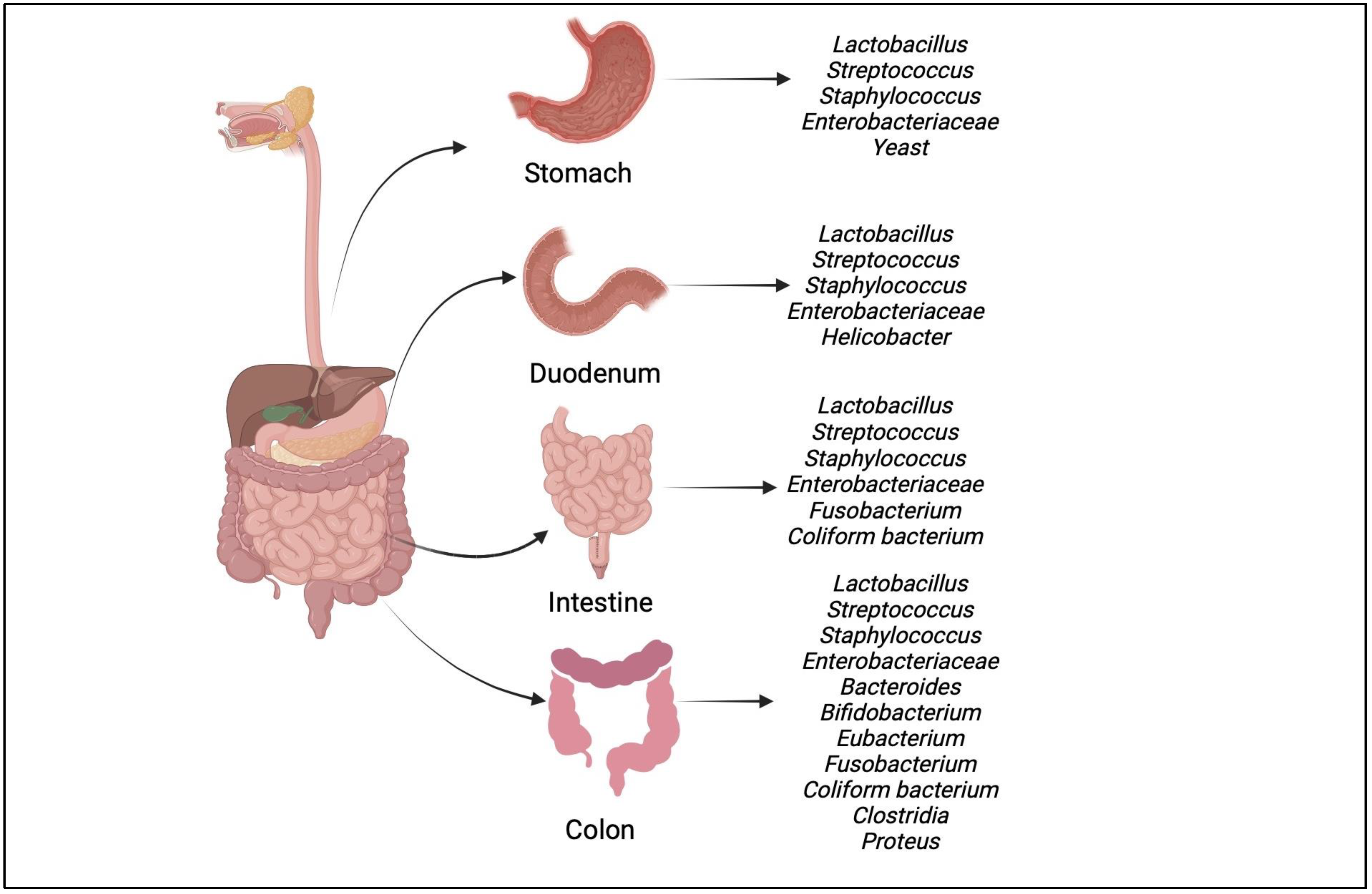 Microorganisms 11 01083 g003