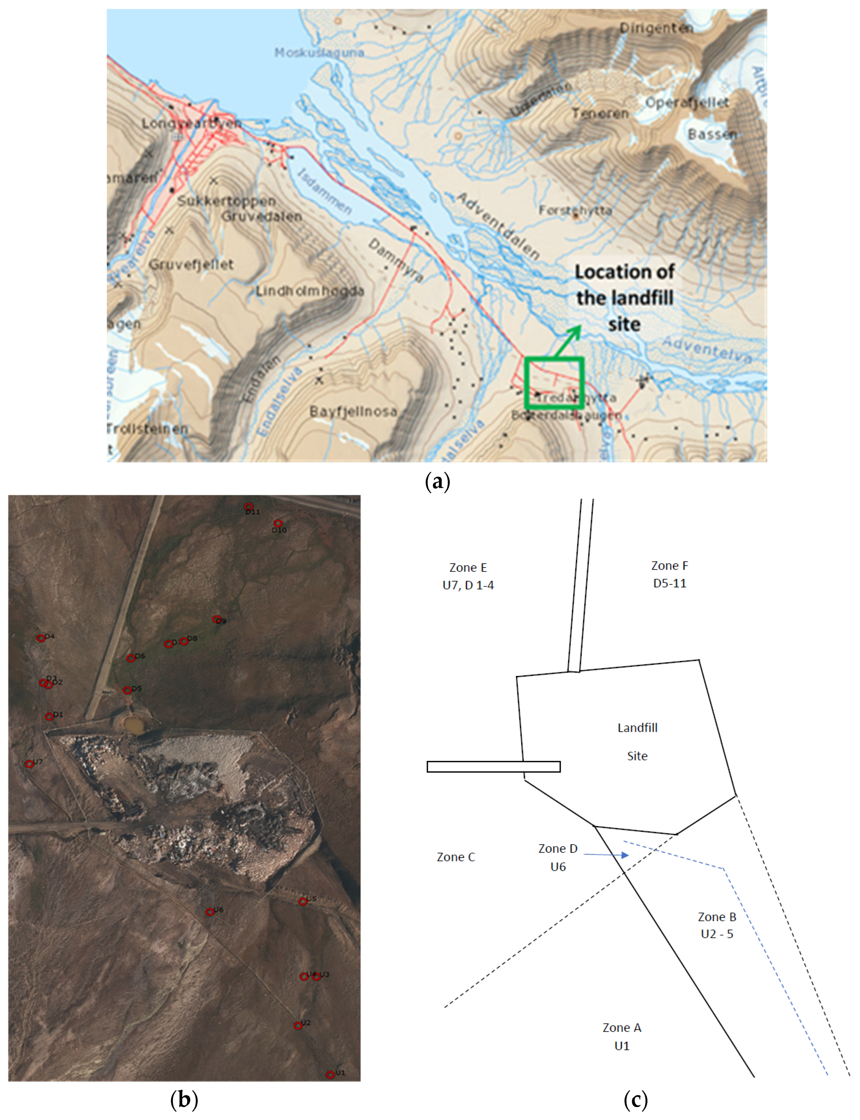 Microorganisms 11 01093 g001