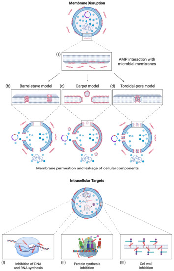 Microorganisms 11 01129 g001