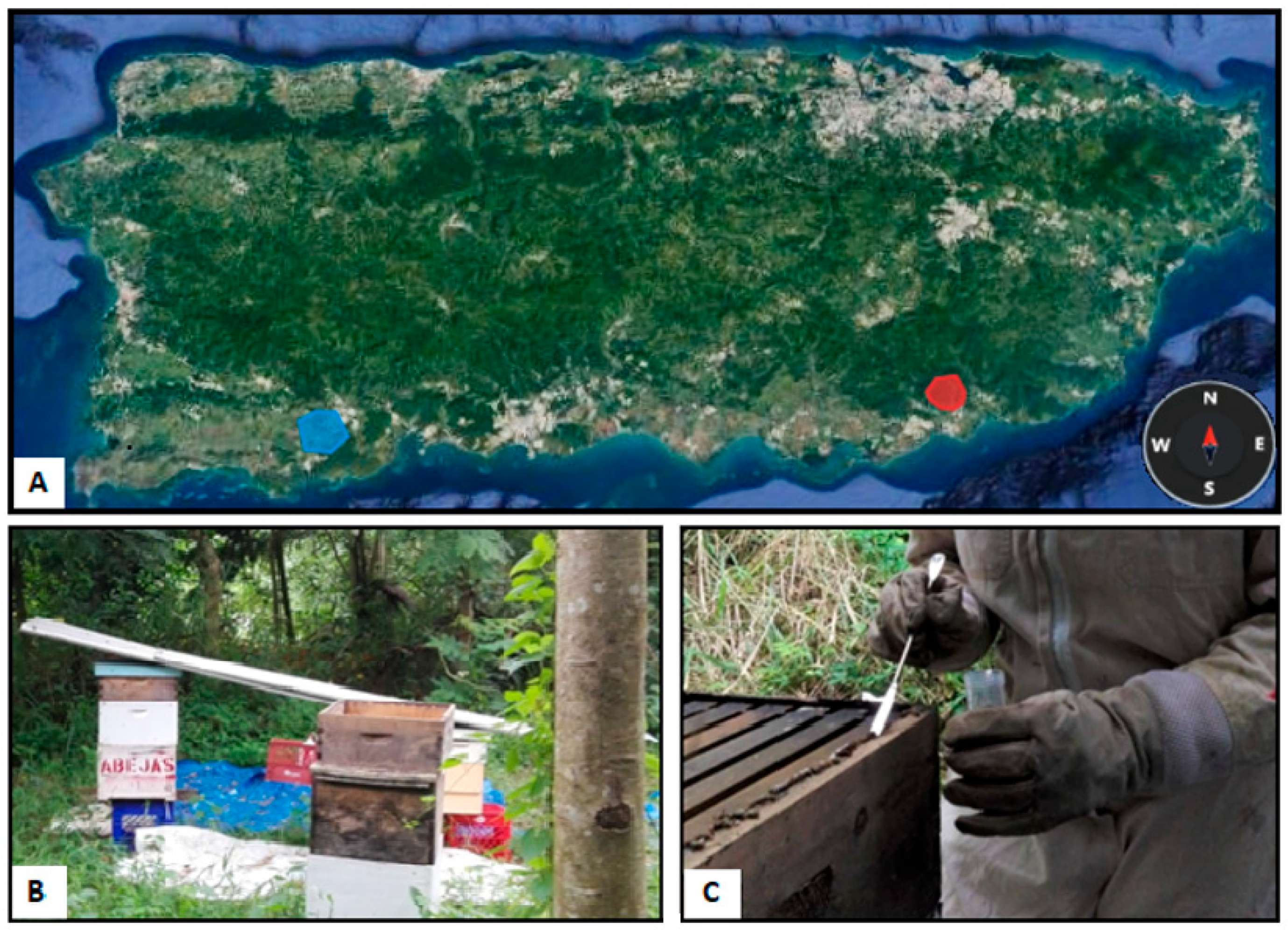 Microorganisms 11 01130 g001 Microorganisms 11 01130 g001