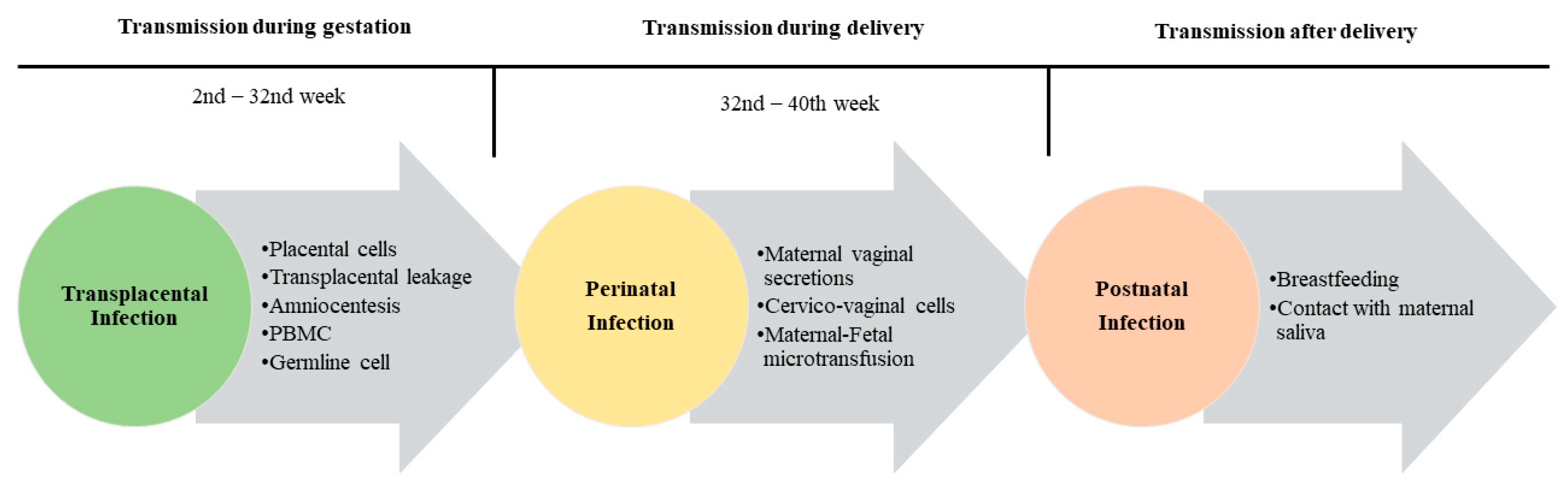 Microorganisms 11 01140 g002