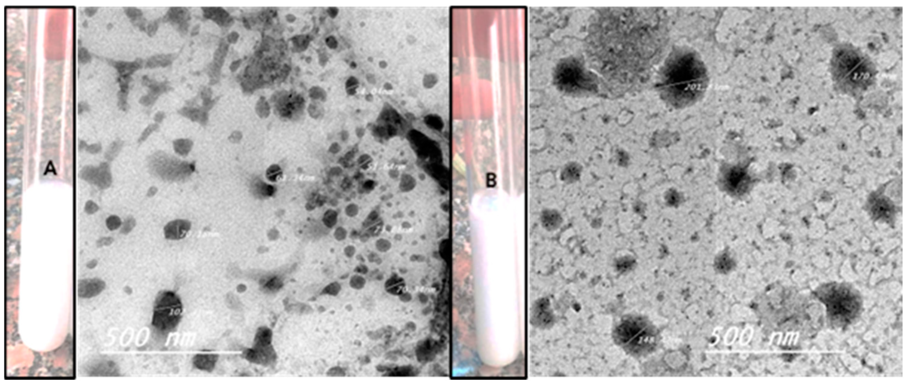 Microorganisms 11 01143 g001
