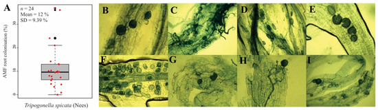 Microorganisms 11 01144 g0a2