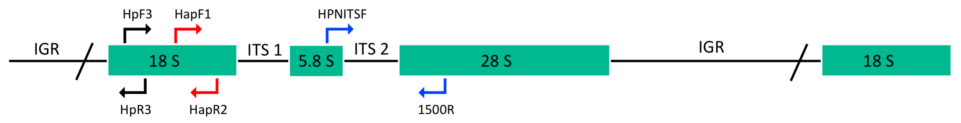 Microorganisms 11 01146 g002