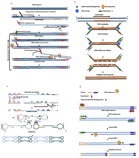Microorganisms 11 01159 g002