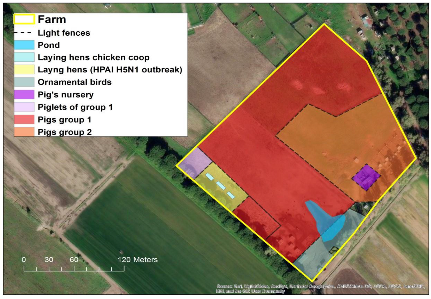 Microorganisms 11 01162 g001