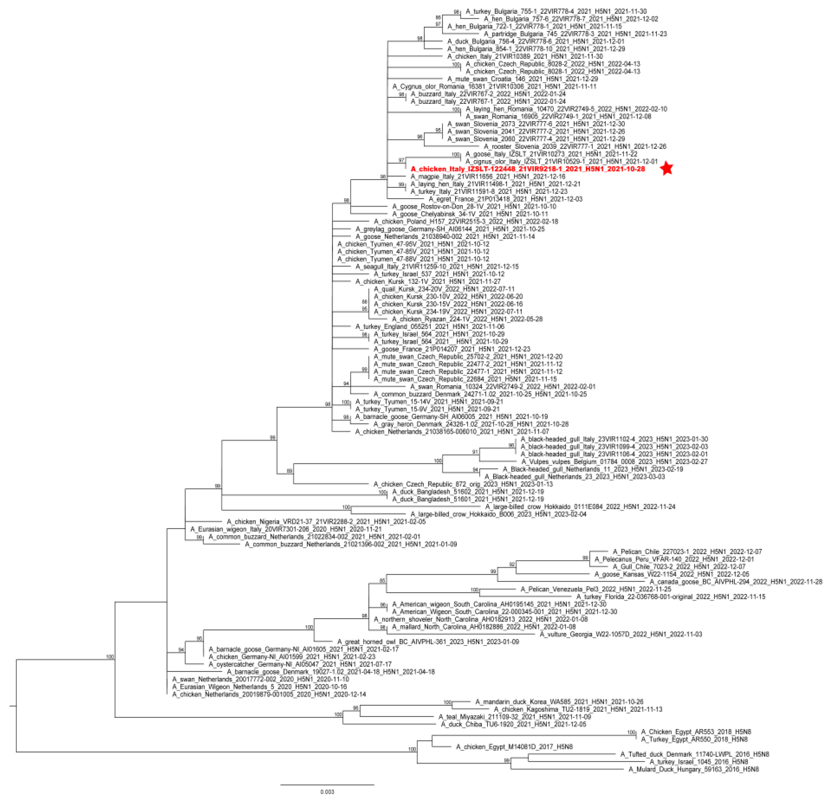 Microorganisms 11 01162 g002