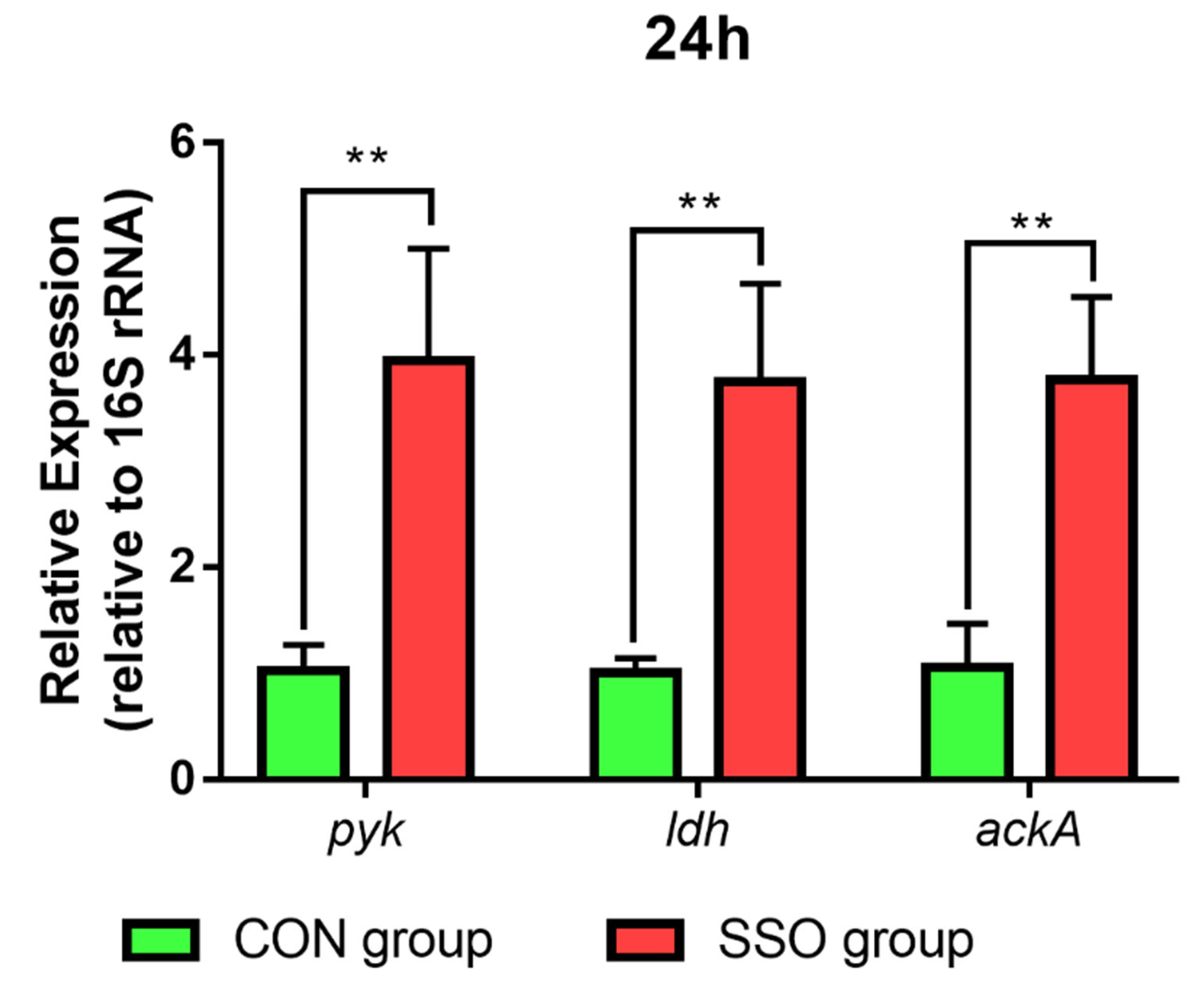 Microorganisms 11 01164 g008