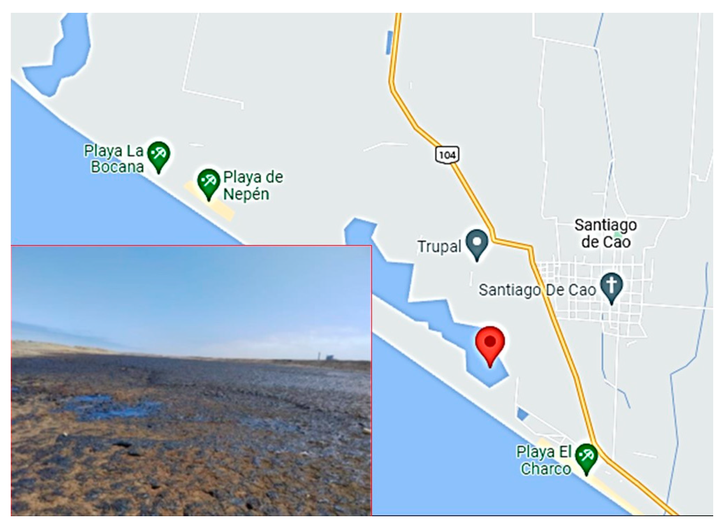 Microorganisms 11 01168 g001 Microorganisms 11 01168 g001