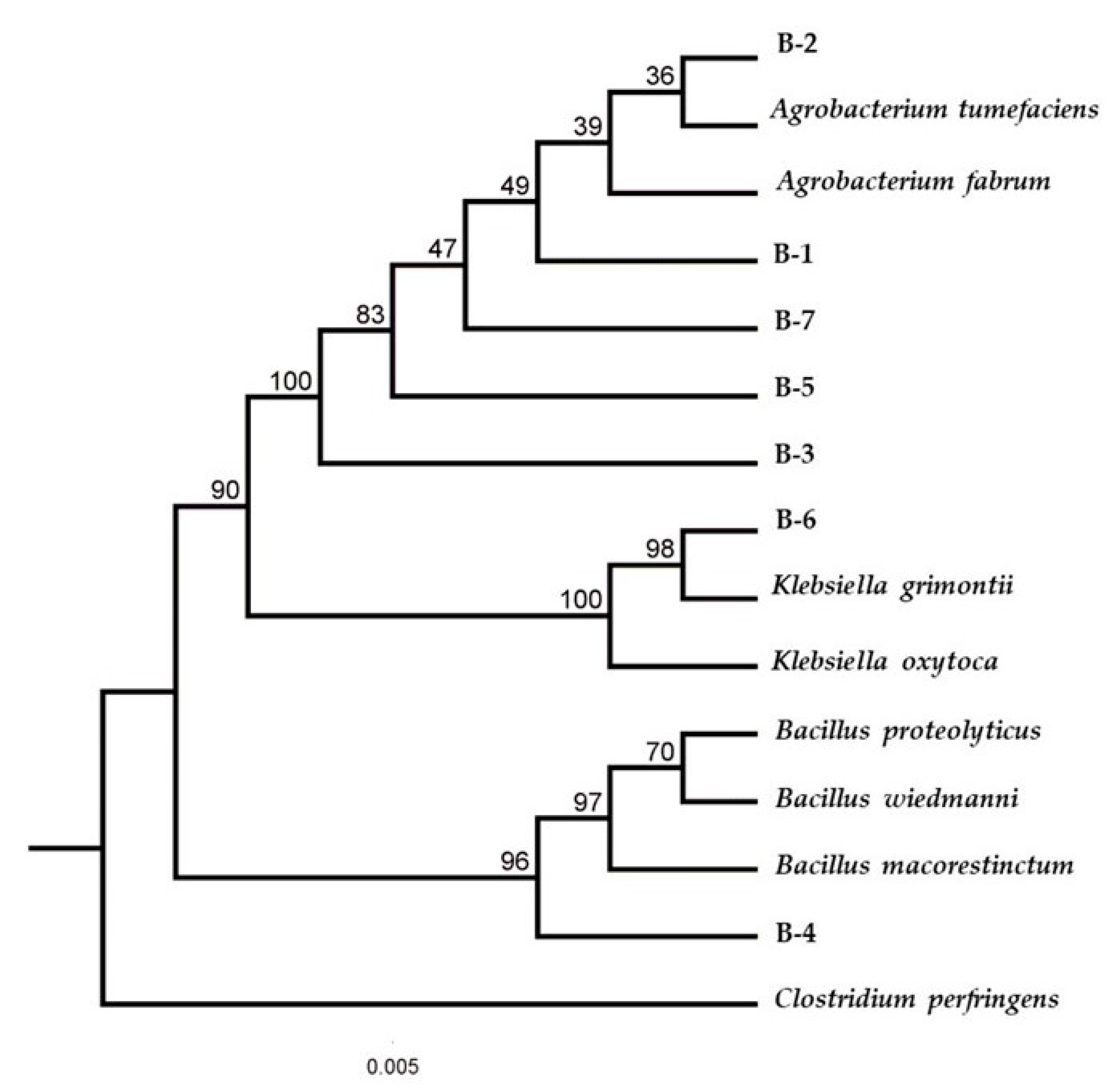 Microorganisms 11 01168 g002 Microorganisms 11 01168 g002