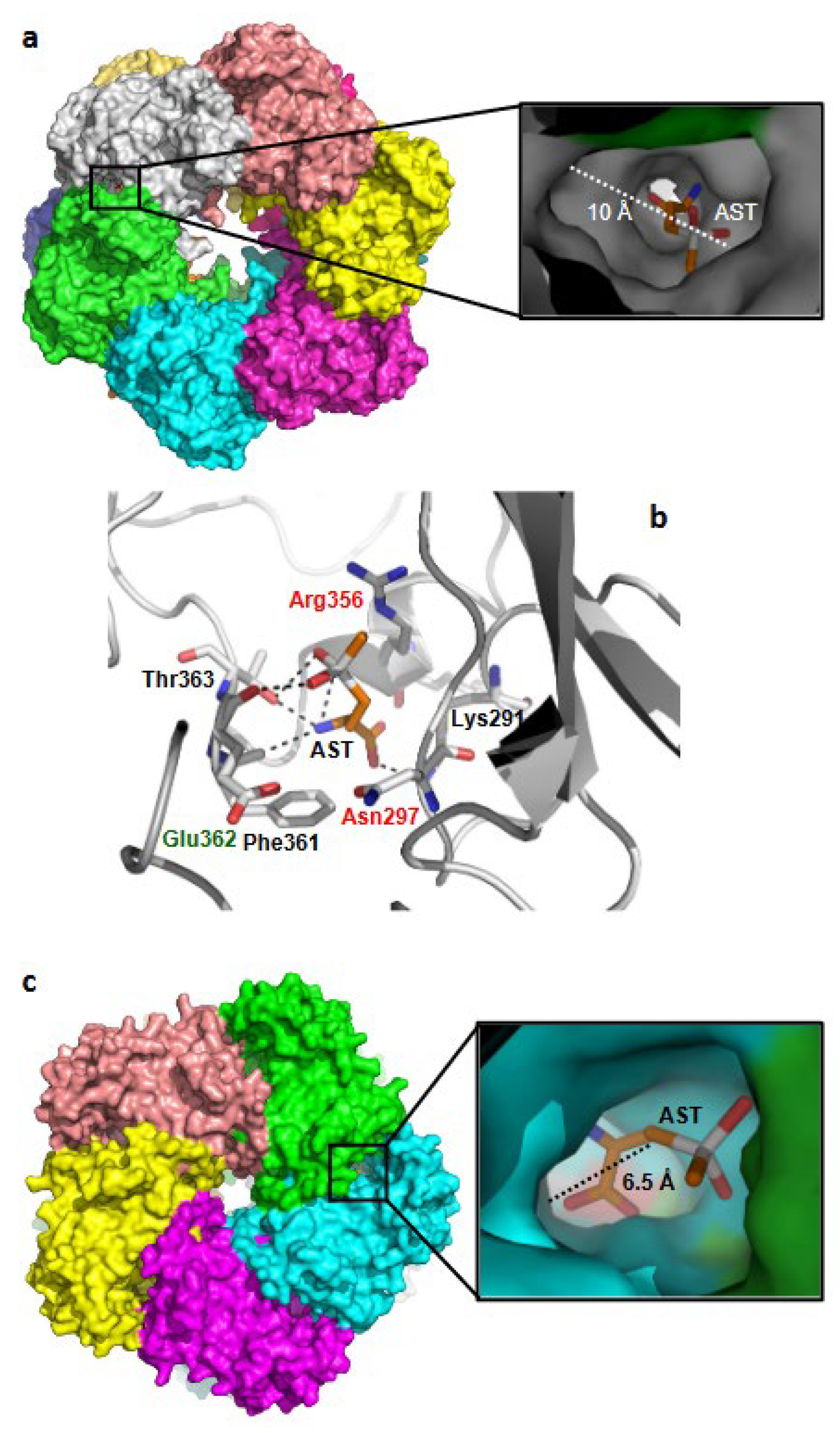 Microorganisms 11 01195 g009 Microorganisms 11 01195 g009