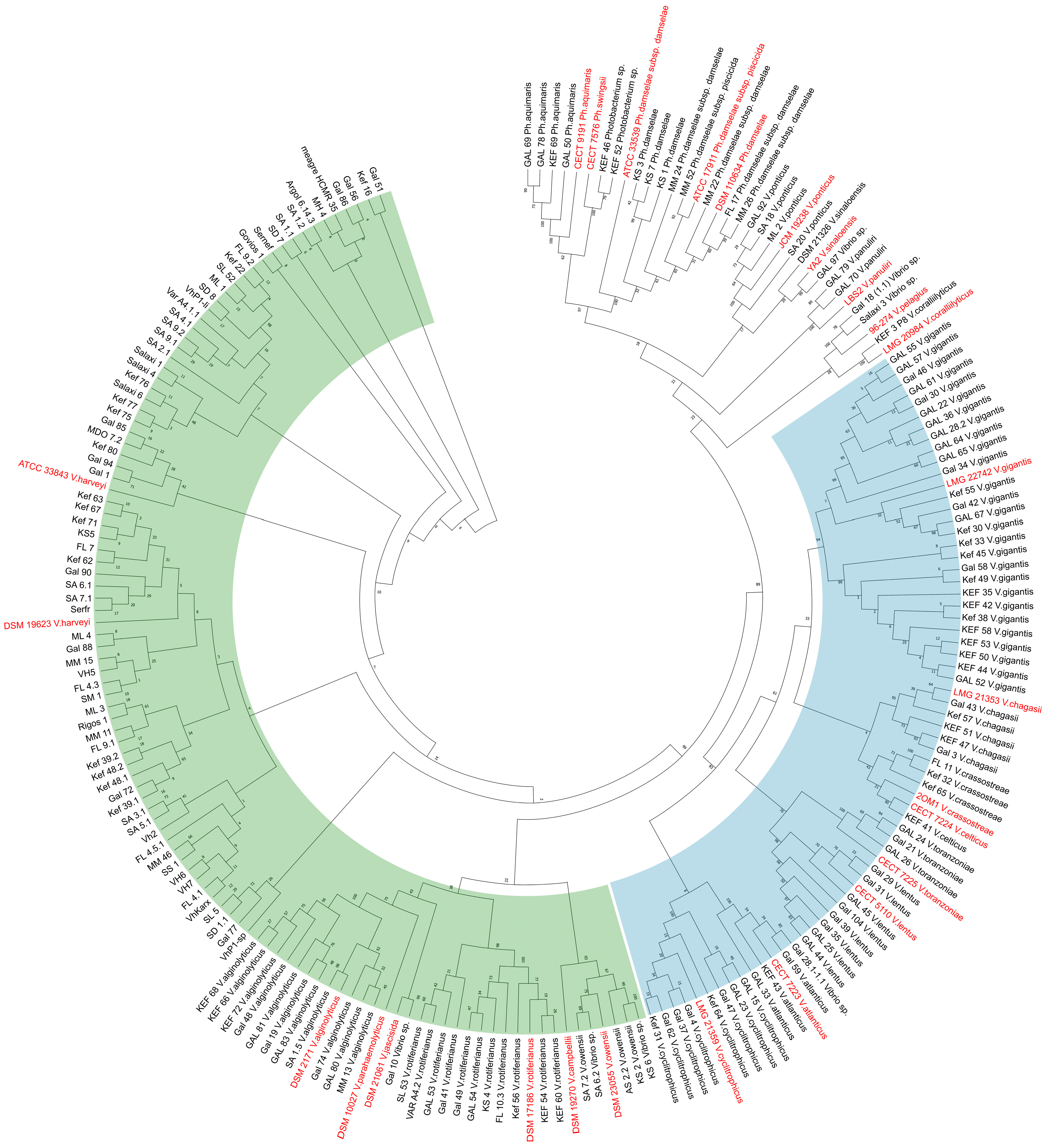 Microorganisms 11 01197 g003