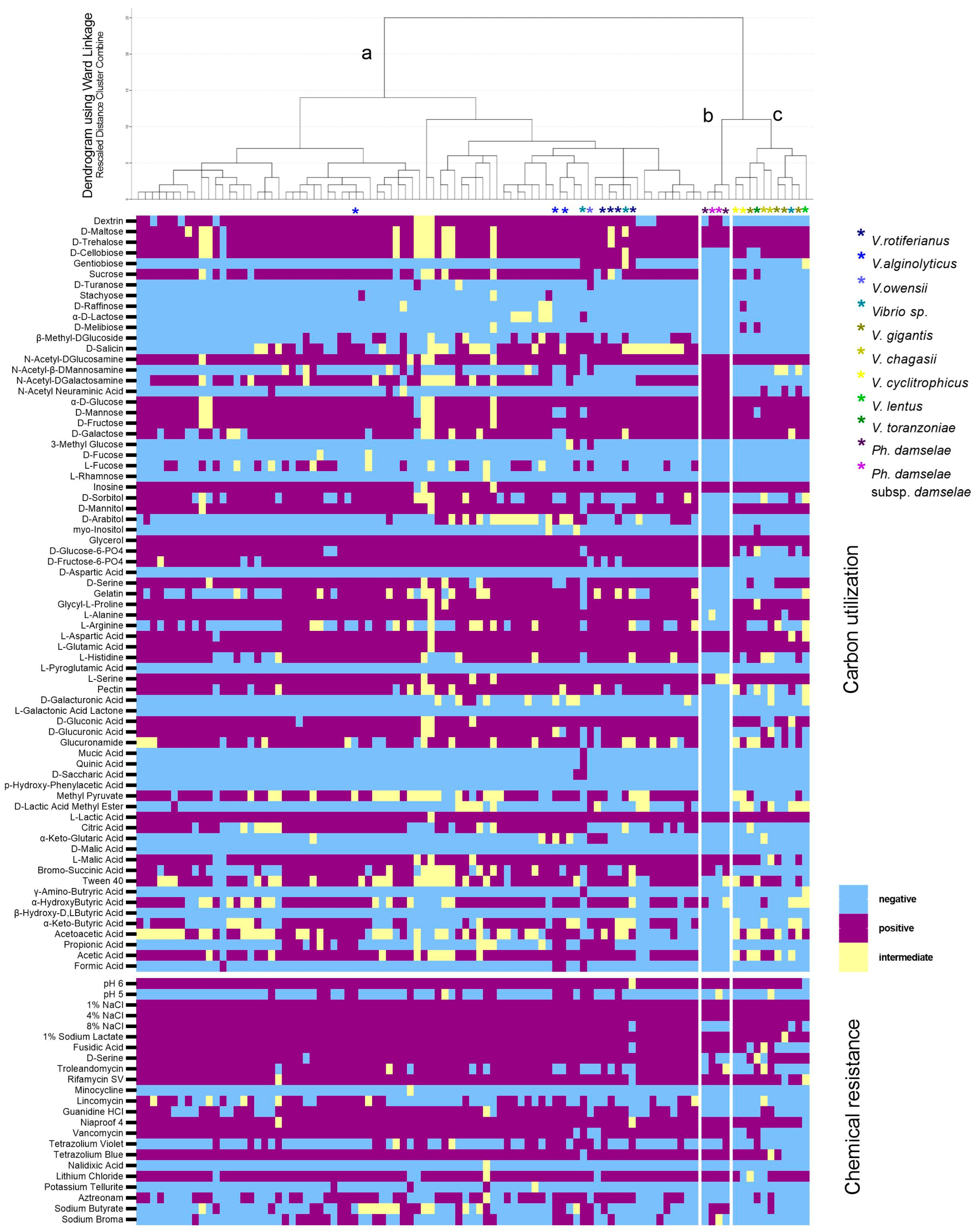 Microorganisms 11 01197 g004