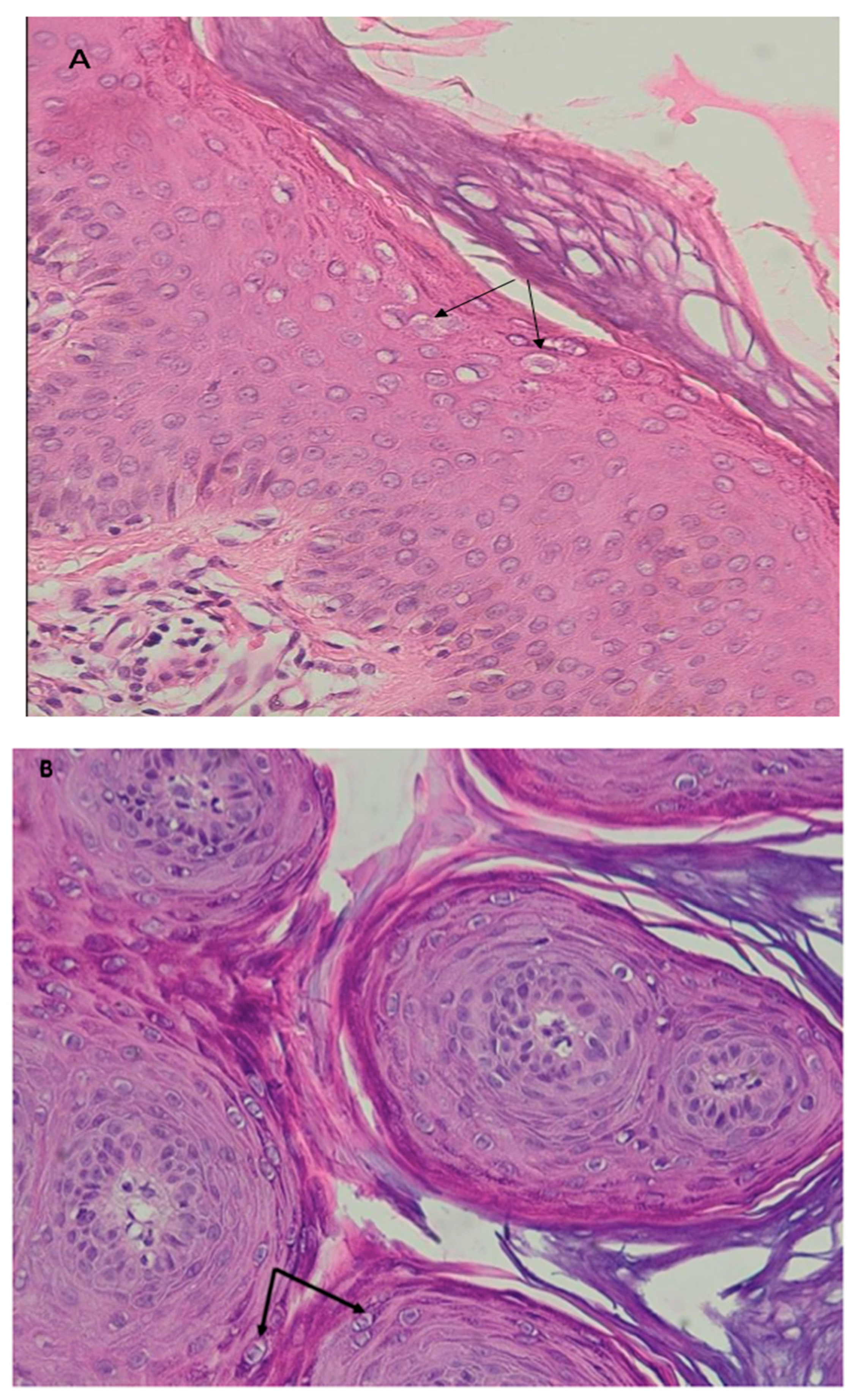 Microorganisms 11 01202 g002a