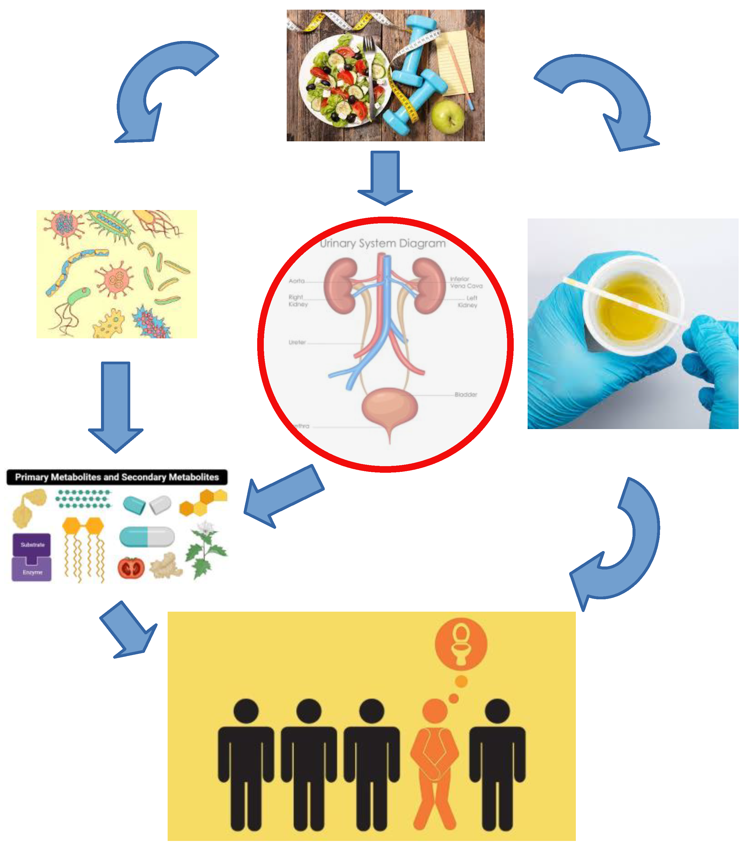 Microorganisms 11 01207 g001 Microorganisms 11 01207 g001