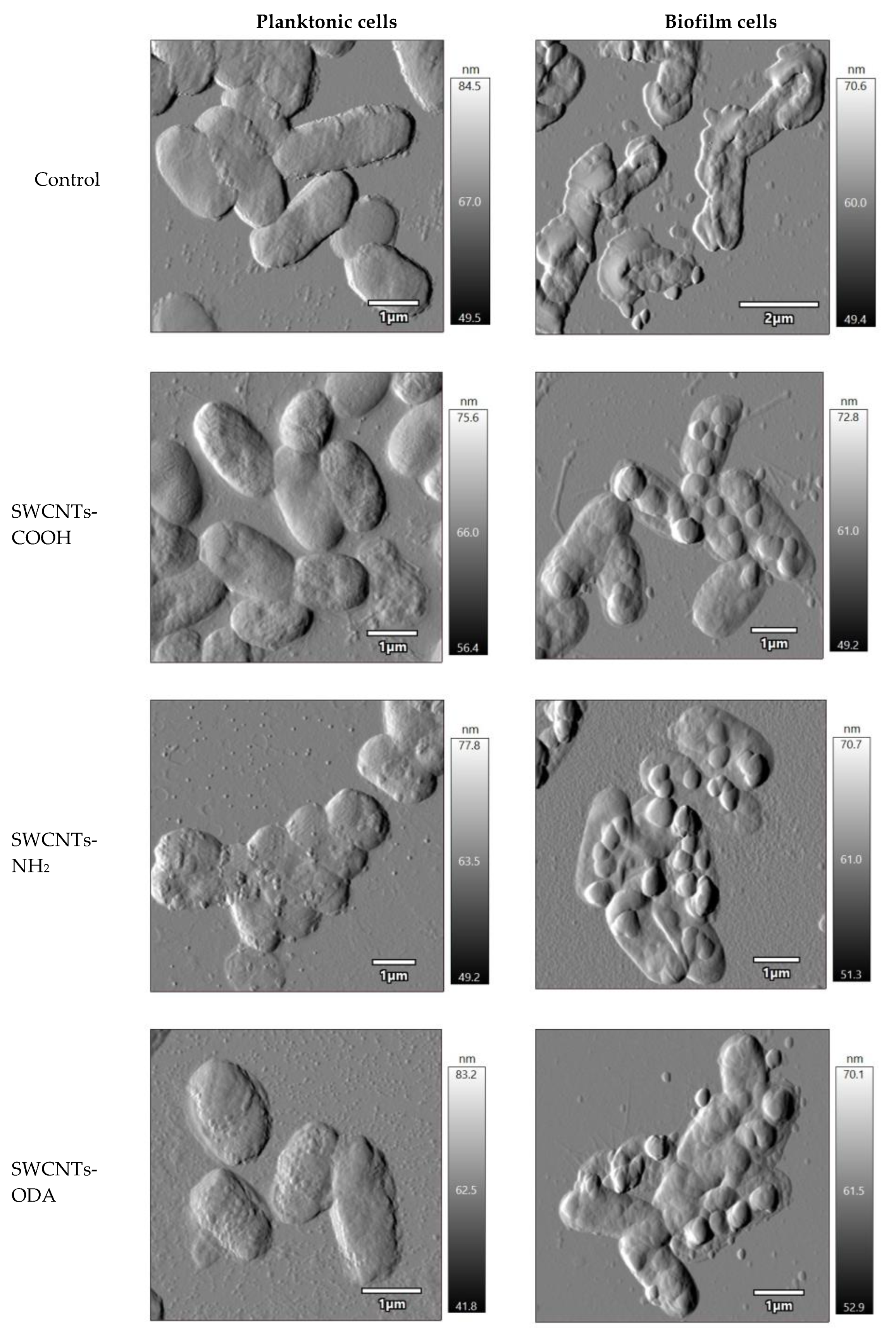 Microorganisms 11 01221 g007