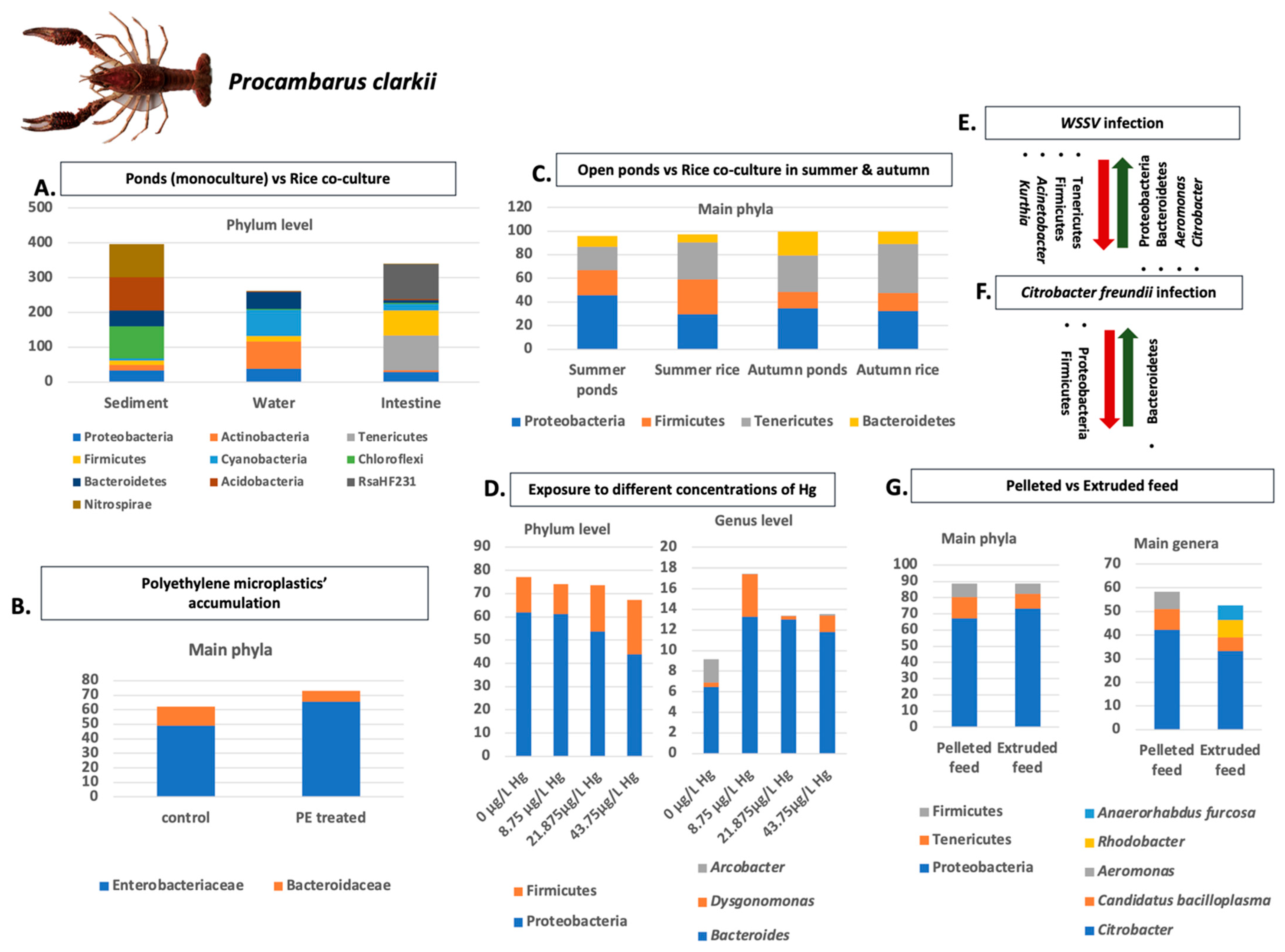 Microorganisms 11 01232 g001 Microorganisms 11 01232 g001
