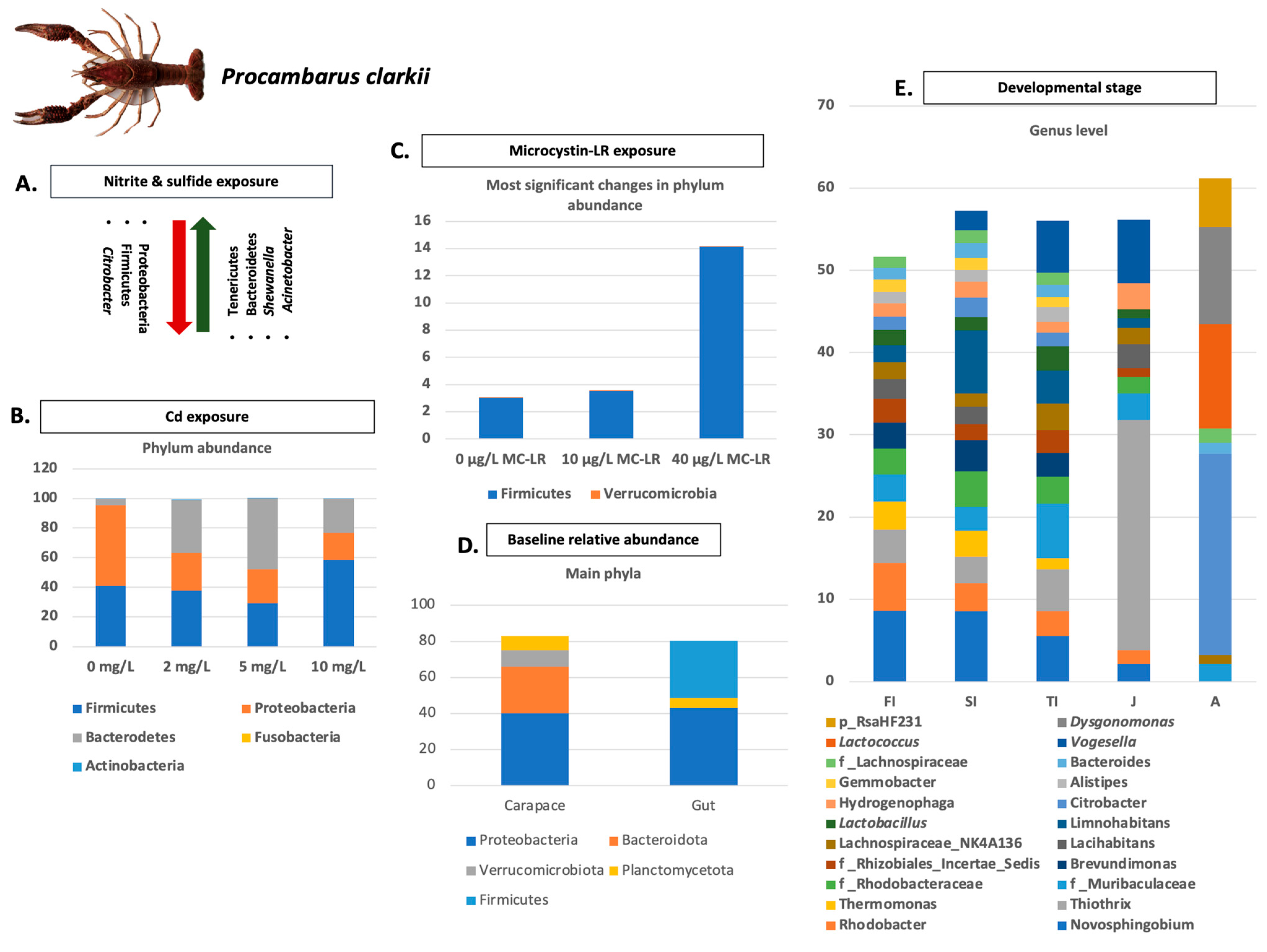 Microorganisms 11 01232 g002 Microorganisms 11 01232 g002