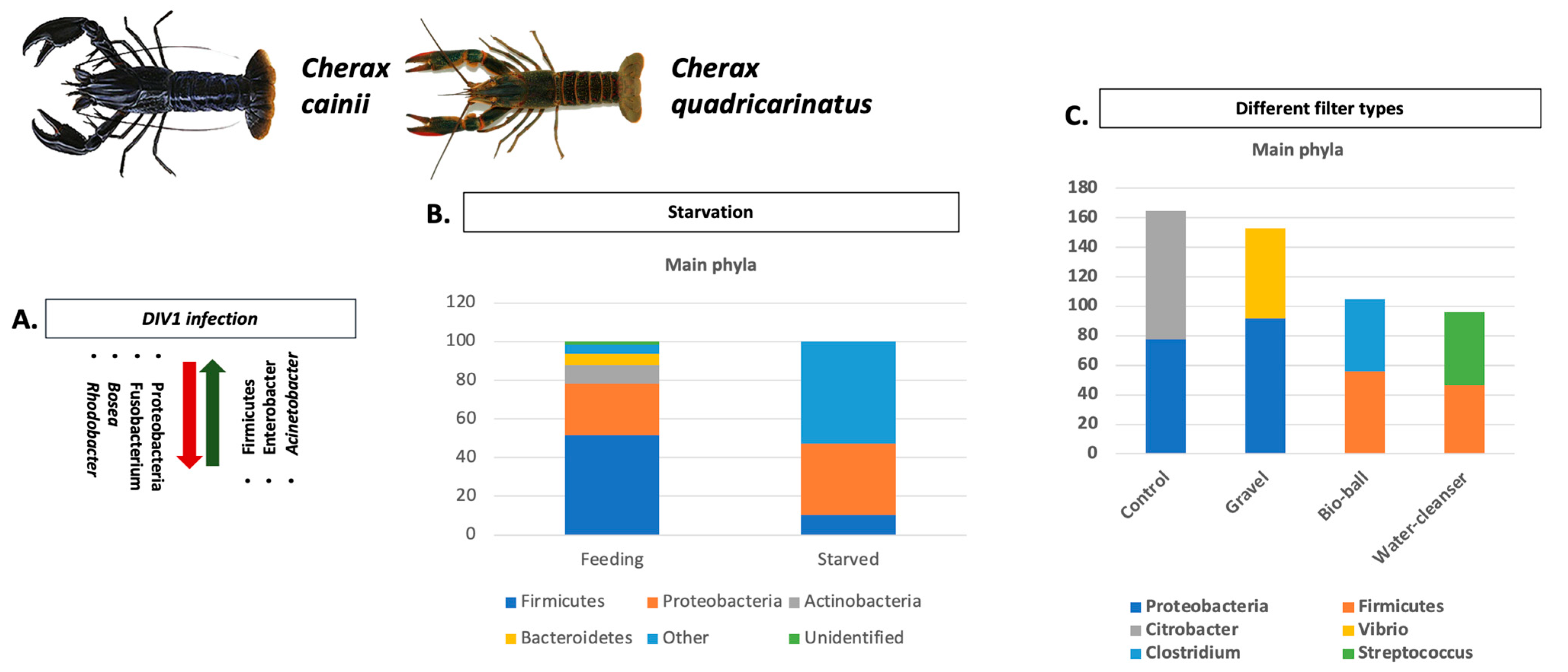 Microorganisms 11 01232 g003 Microorganisms 11 01232 g003