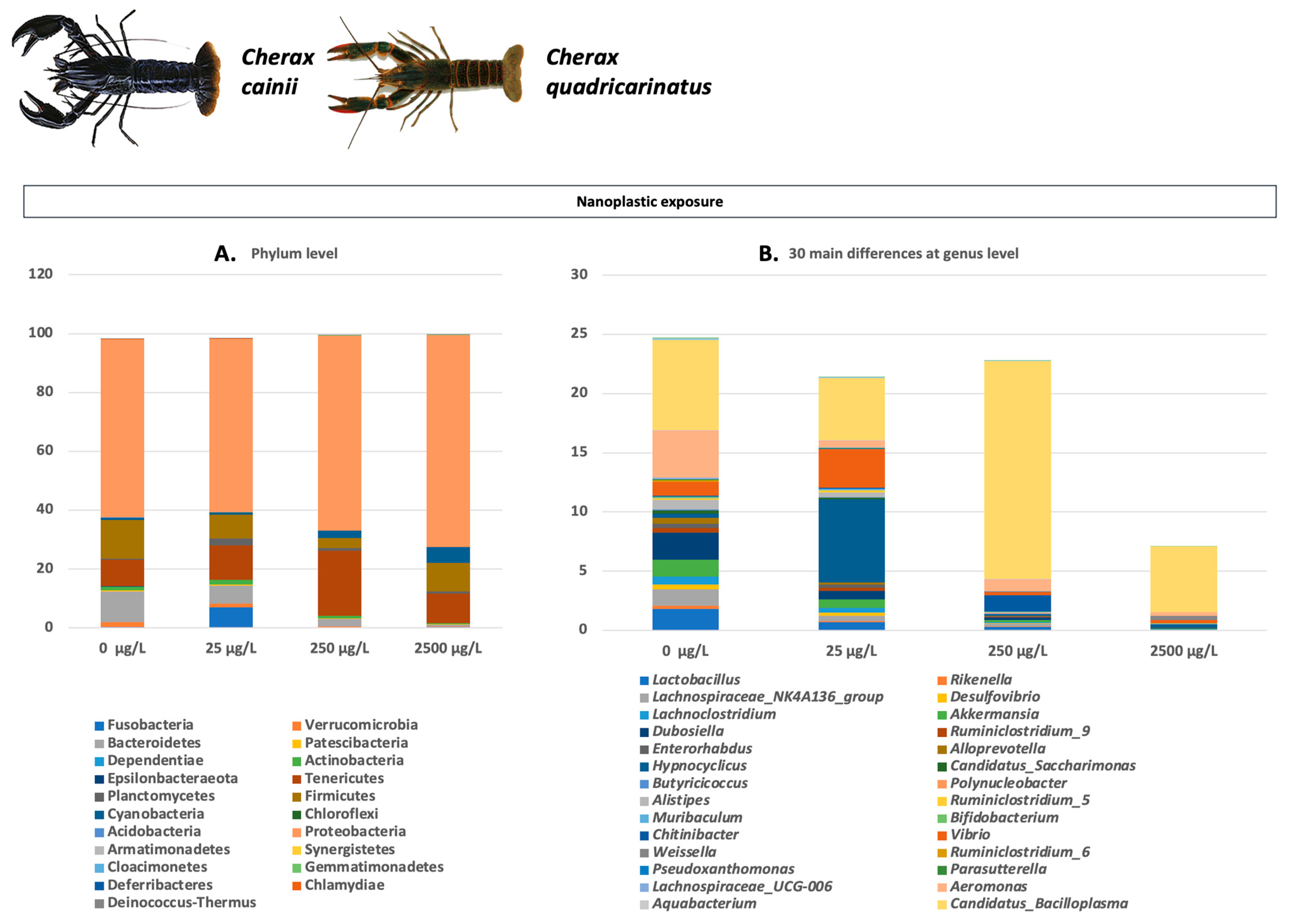 Microorganisms 11 01232 g004 Microorganisms 11 01232 g004