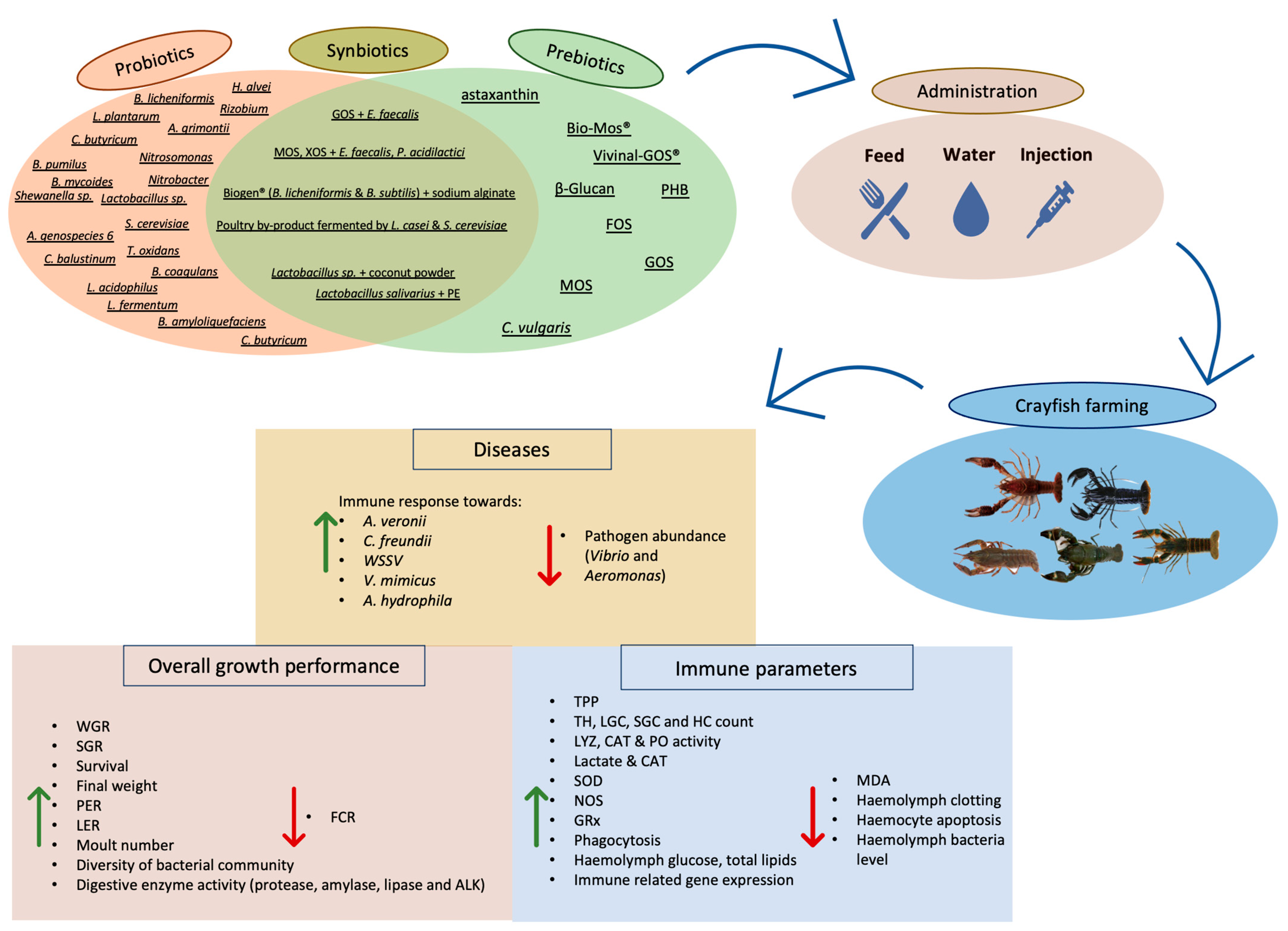 Microorganisms 11 01232 g006 Microorganisms 11 01232 g006