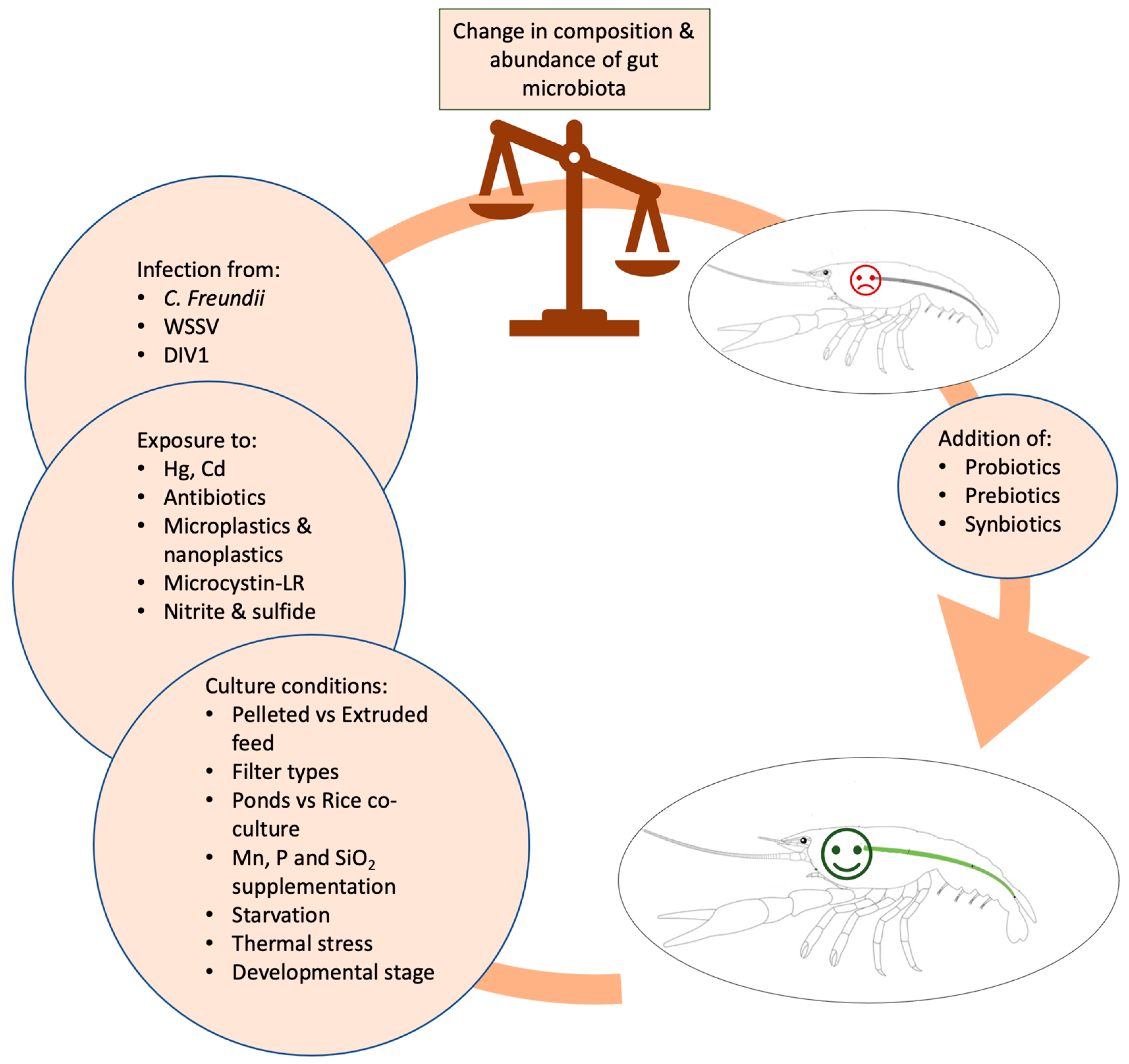Microorganisms 11 01232 g007 Microorganisms 11 01232 g007