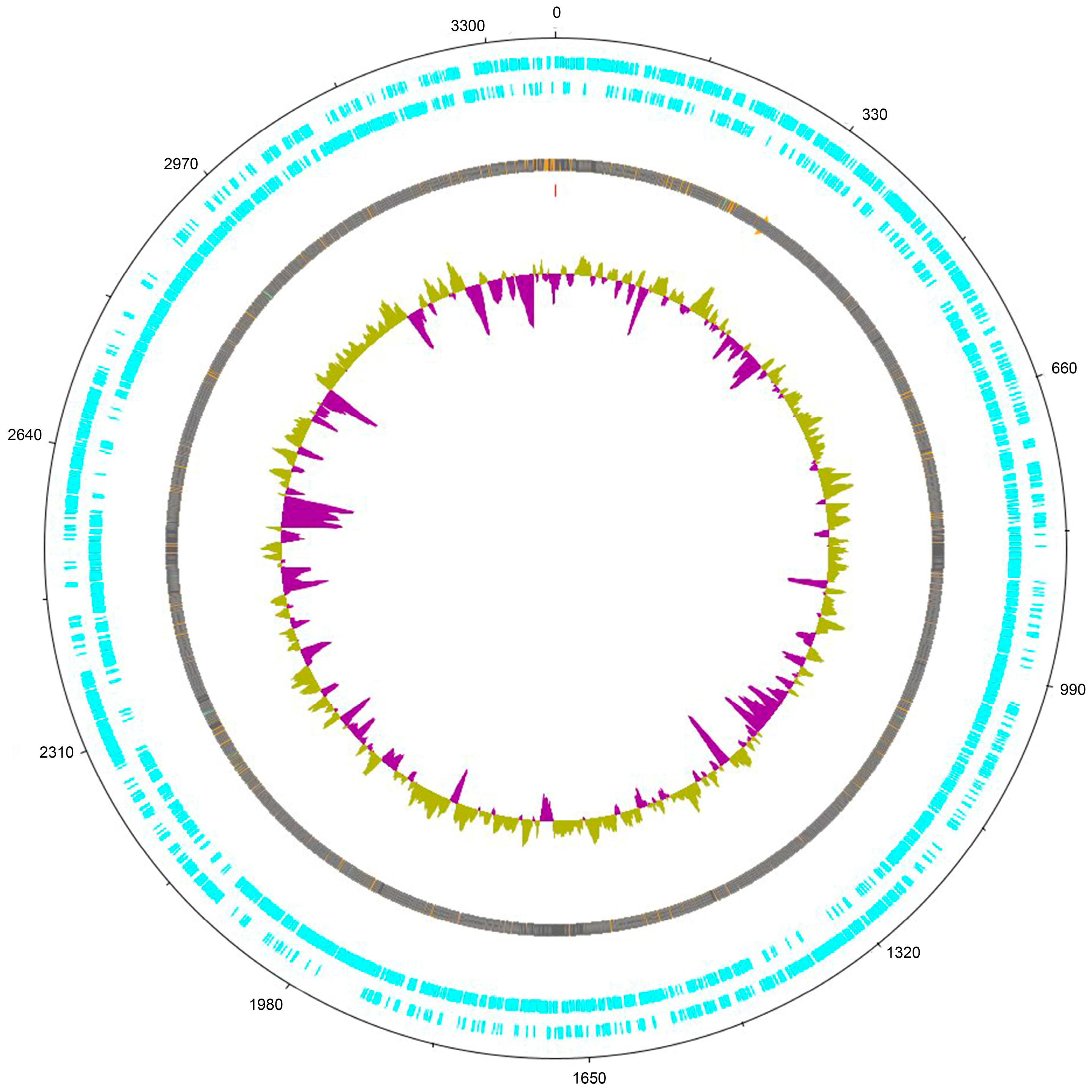 Microorganisms 11 01234 g002