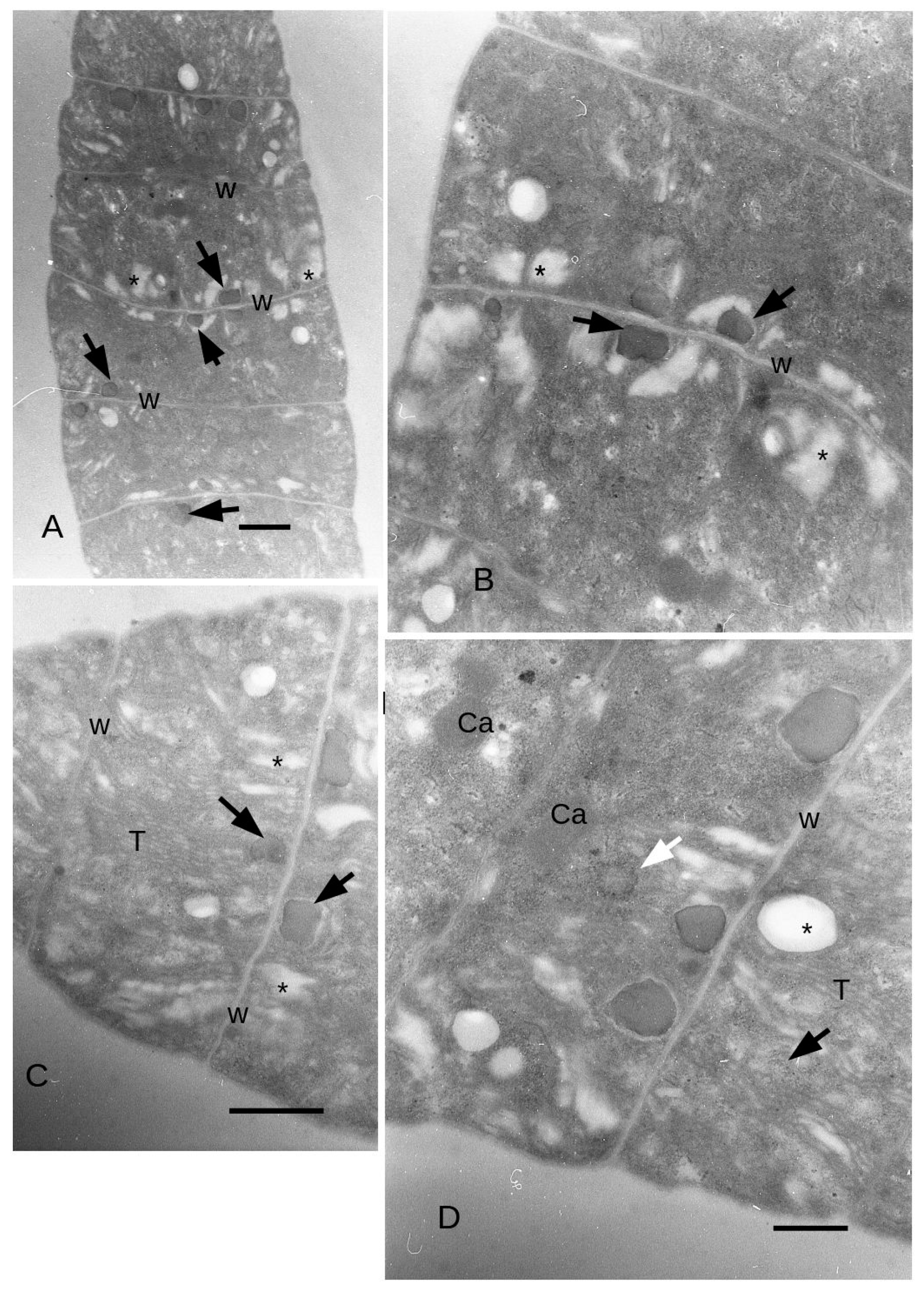 Microorganisms 11 01236 g005 Microorganisms 11 01236 g005