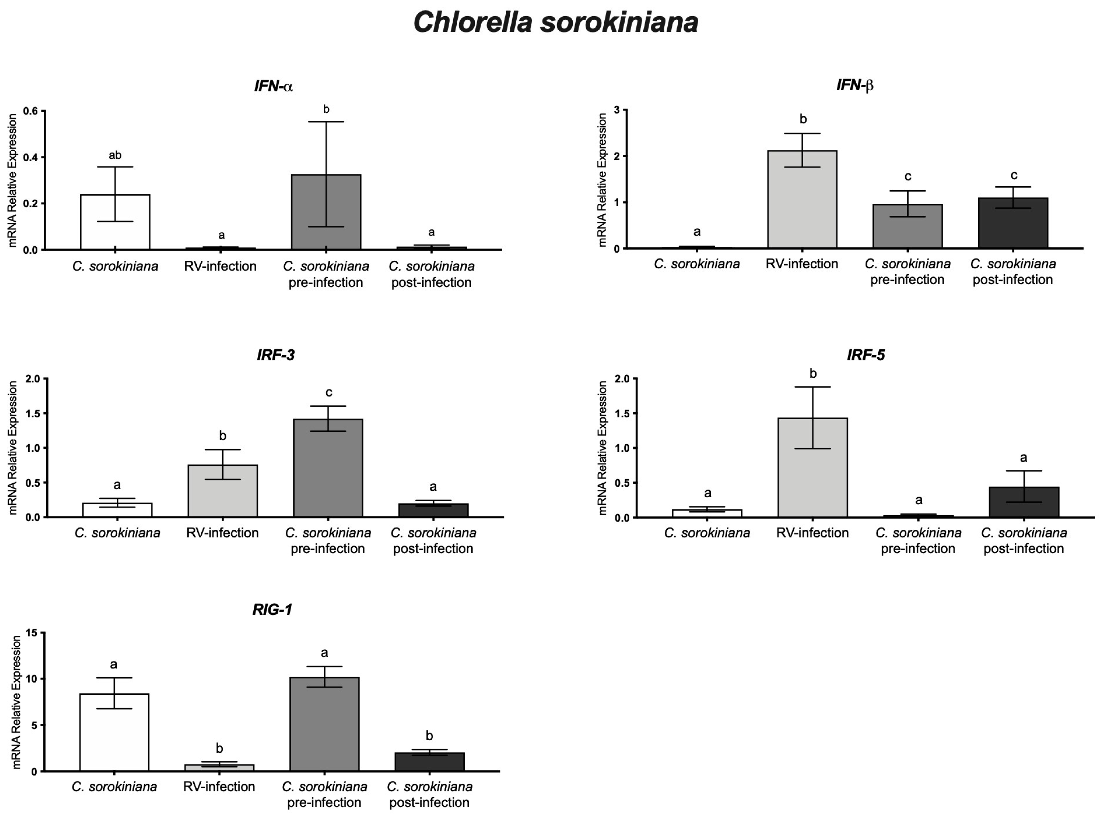 Microorganisms 11 01237 g003 Microorganisms 11 01237 g003