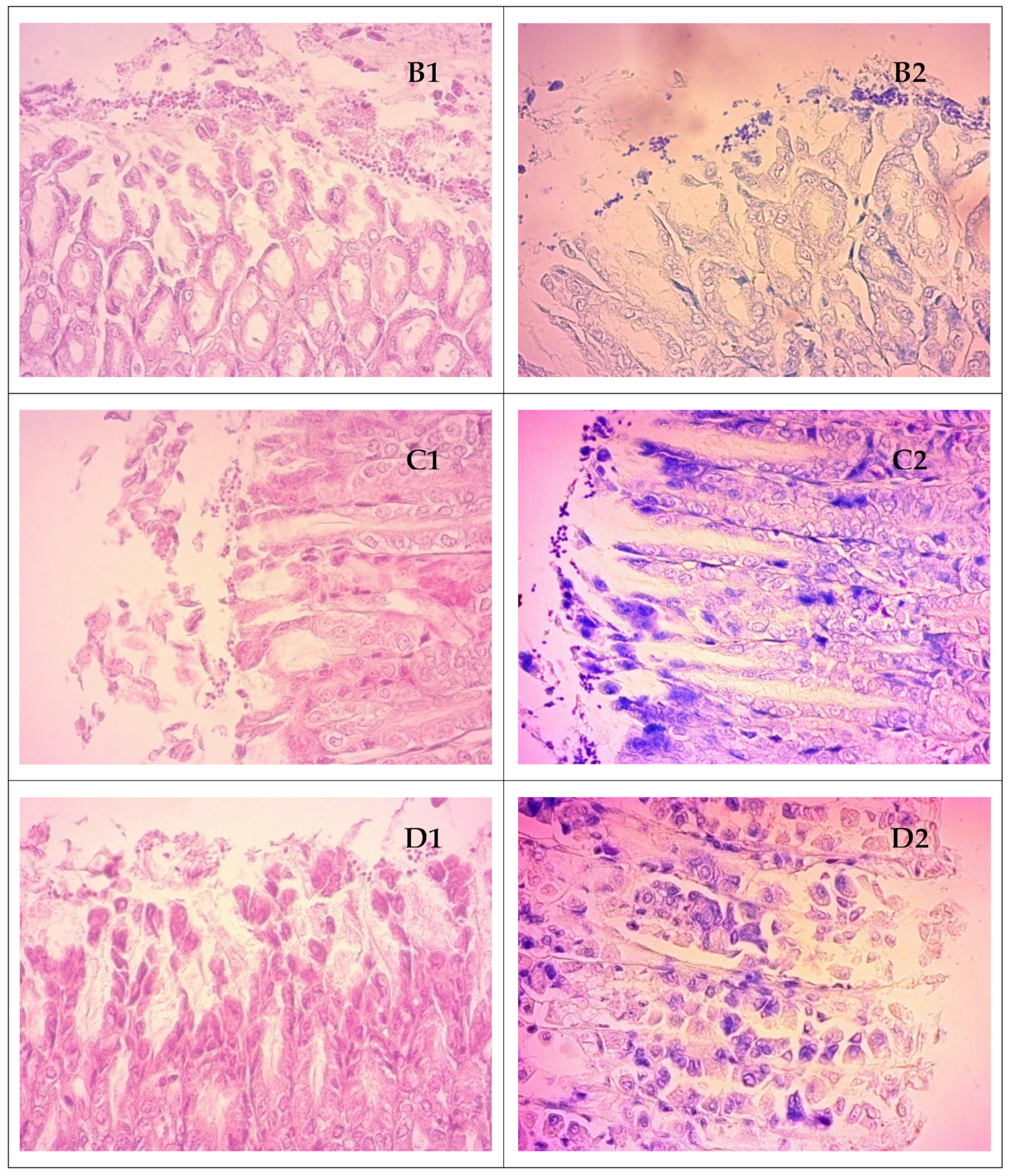 Microorganisms 11 01242 g010b Microorganisms 11 01242 g010b