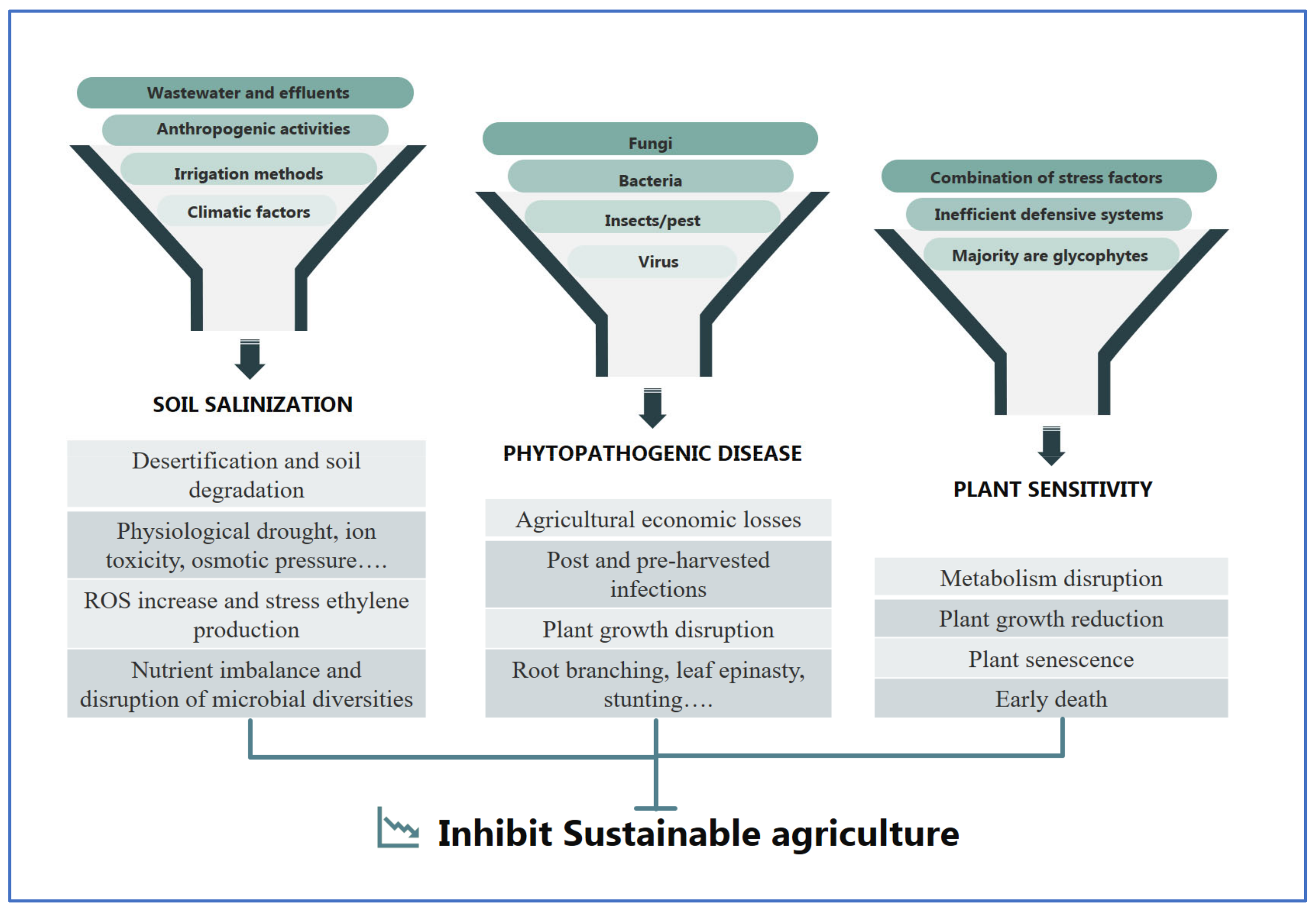 Microorganisms 11 01248 g001