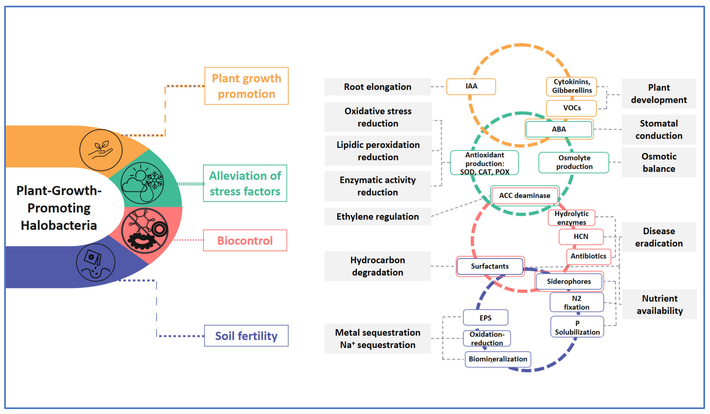 Microorganisms 11 01248 g002
