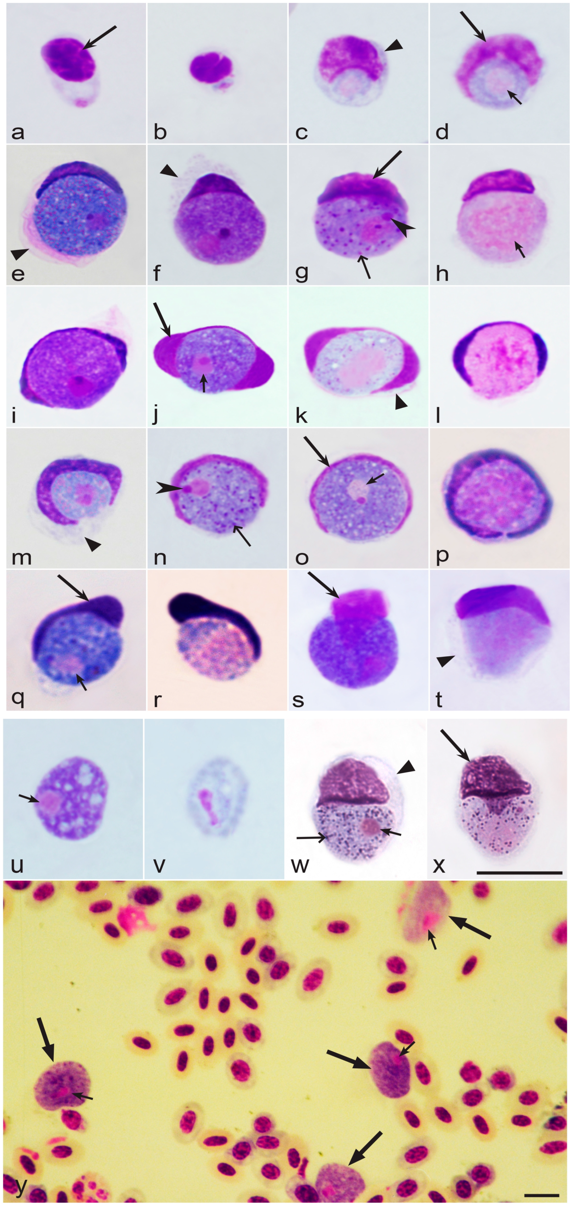 Microorganisms 11 01251 g002