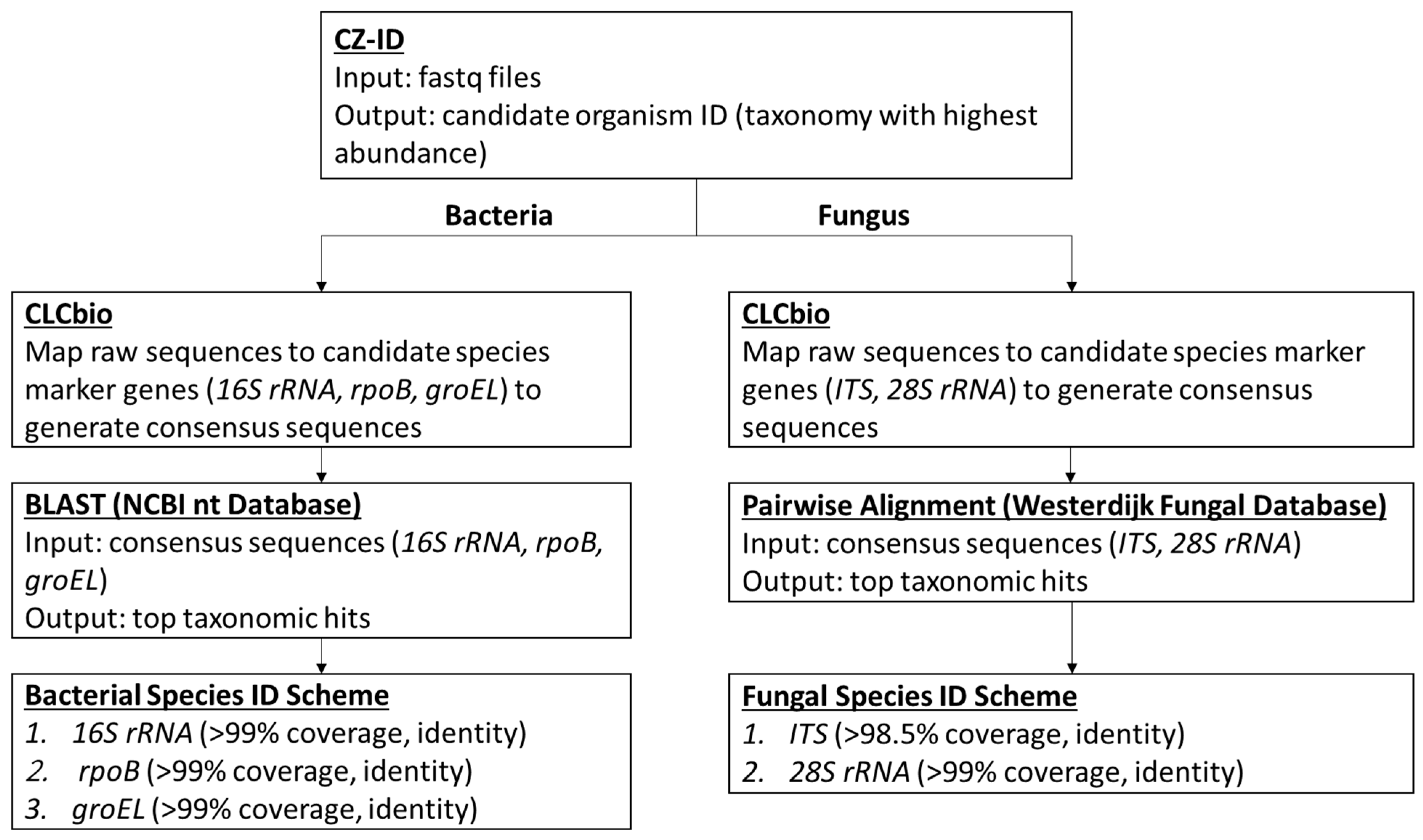 Microorganisms 11 01259 g001