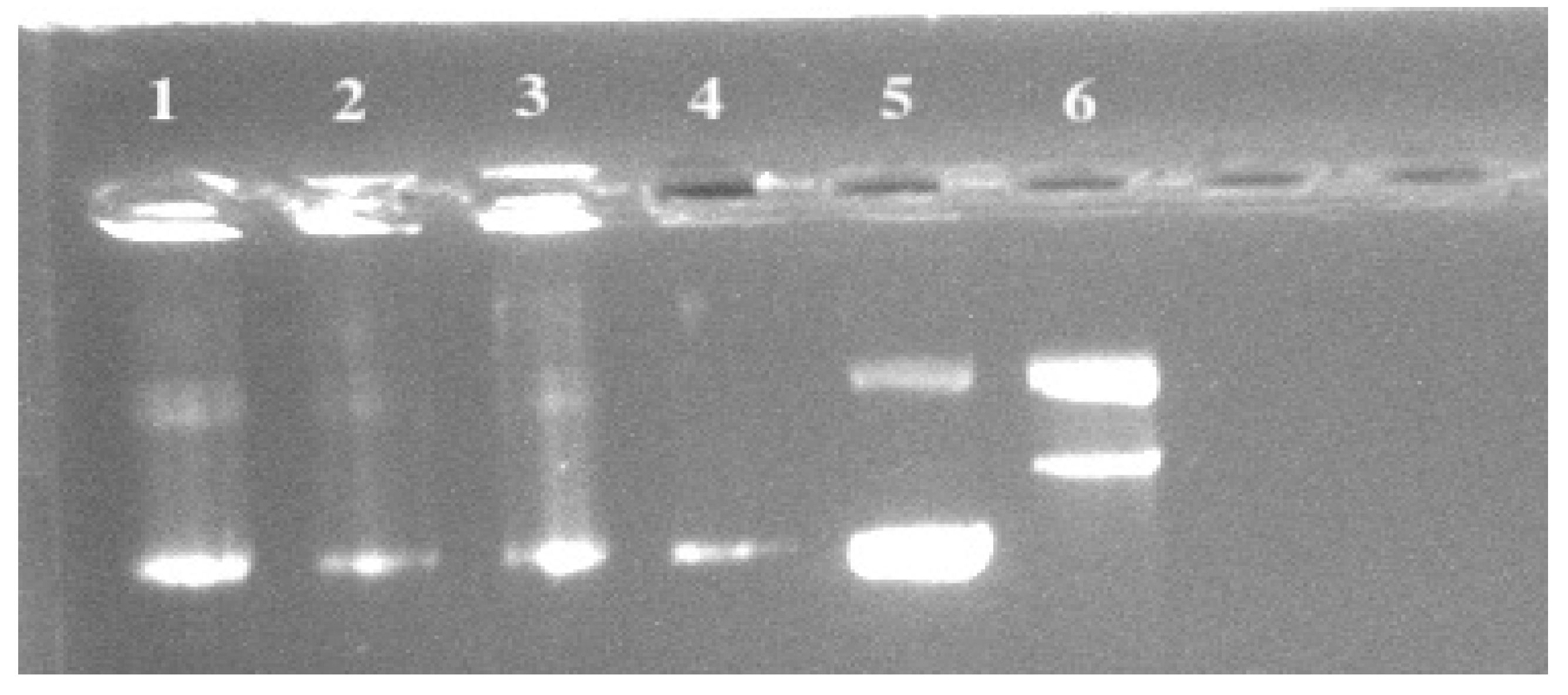 Microorganisms 11 01264 g003 Microorganisms 11 01264 g003