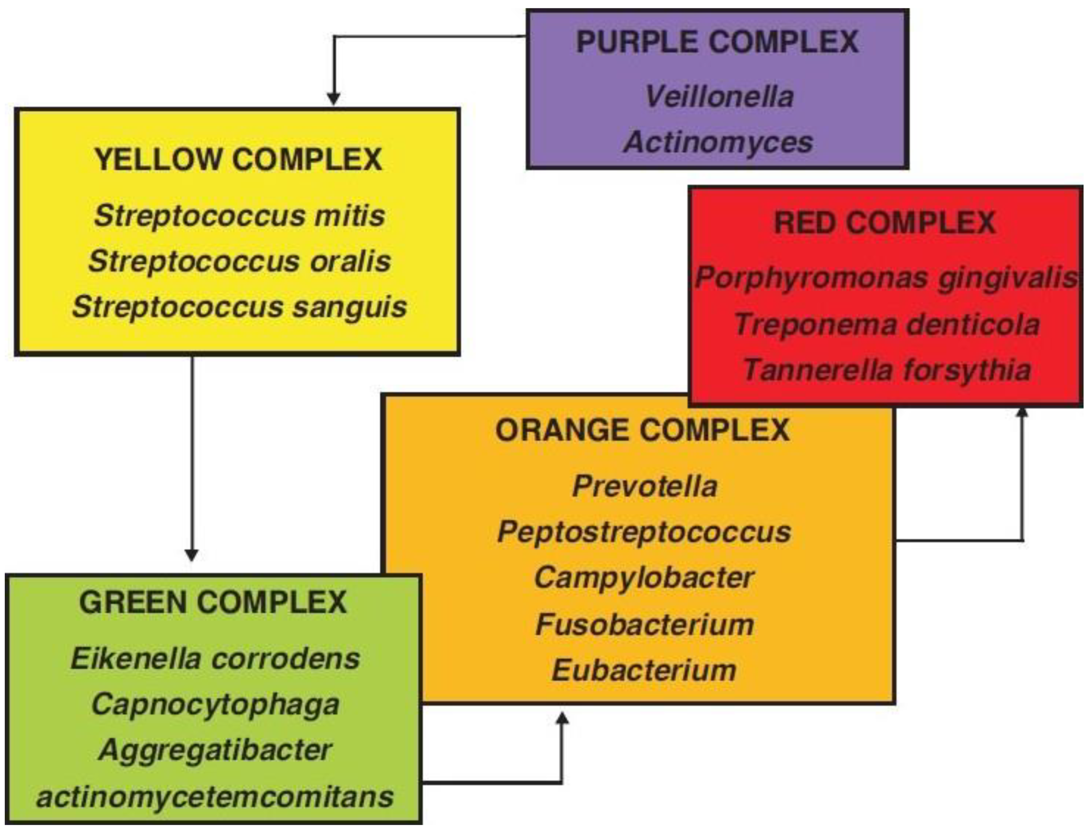 Microorganisms 11 01269 g001 Microorganisms 11 01269 g001