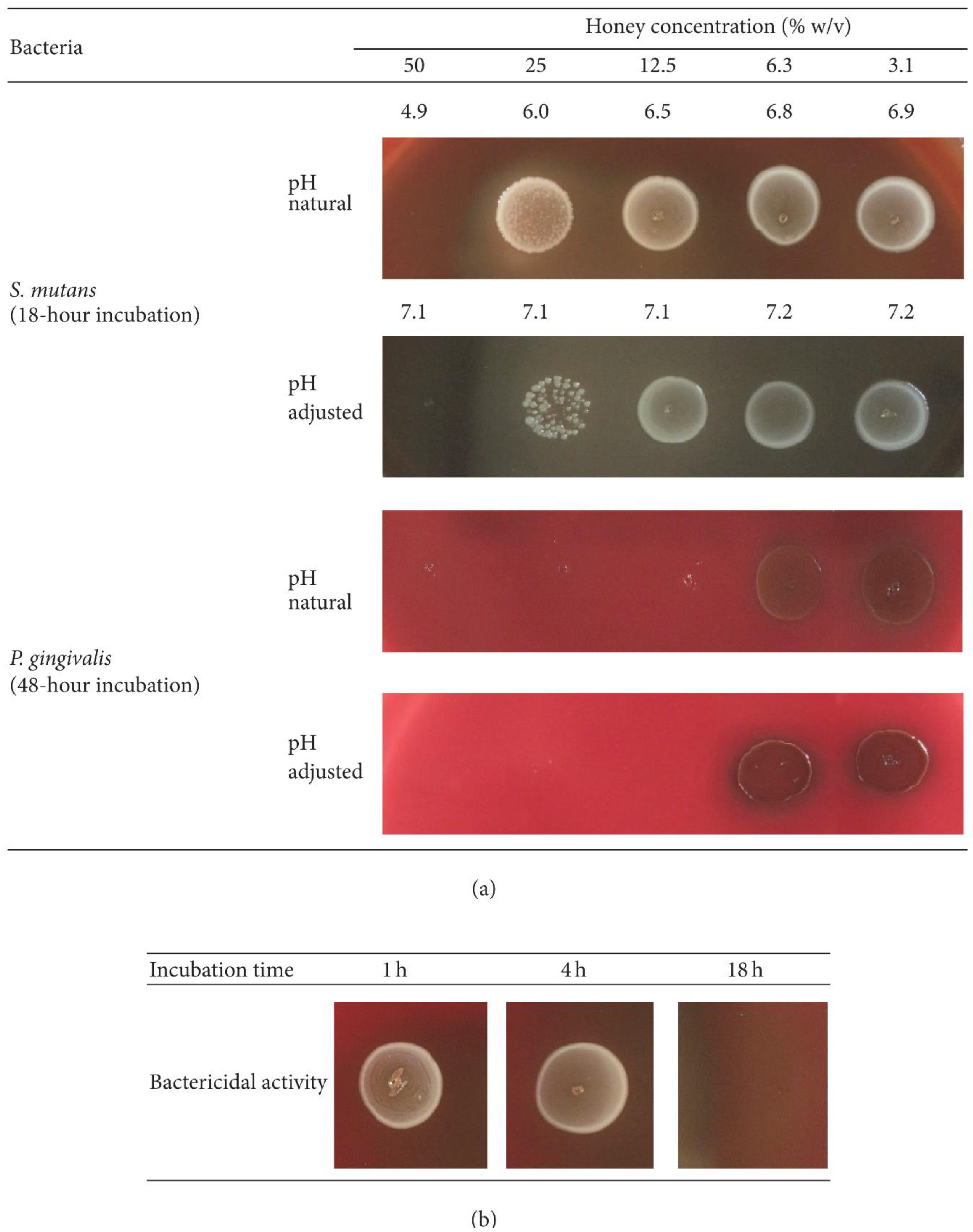 Microorganisms 11 01269 g009 Microorganisms 11 01269 g009