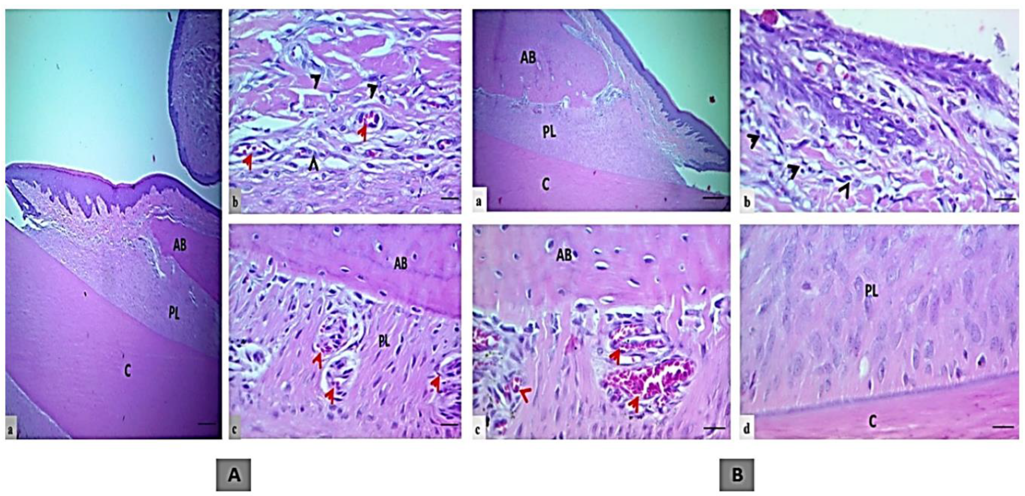 Microorganisms 11 01269 g012 Microorganisms 11 01269 g012