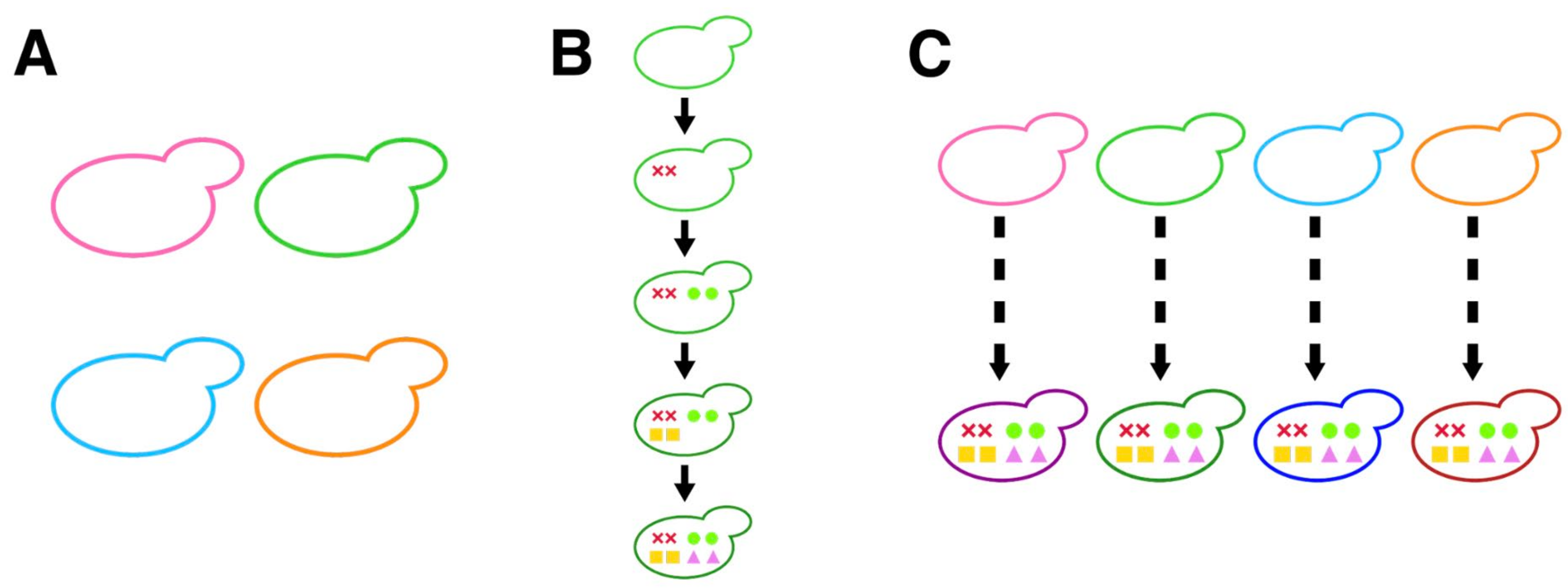 Microorganisms 11 01274 g001 Microorganisms 11 01274 g001
