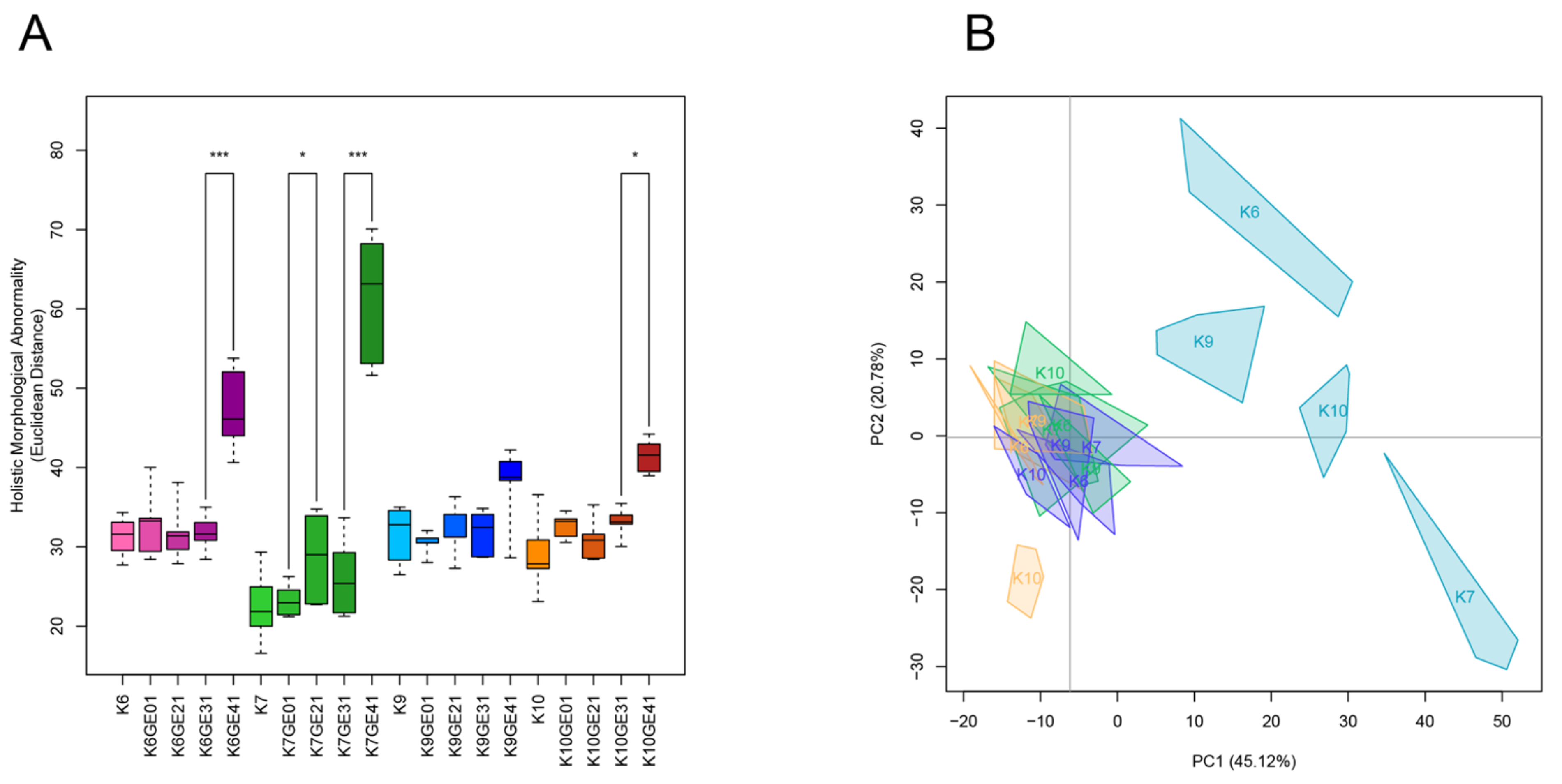 Microorganisms 11 01274 g005 Microorganisms 11 01274 g005