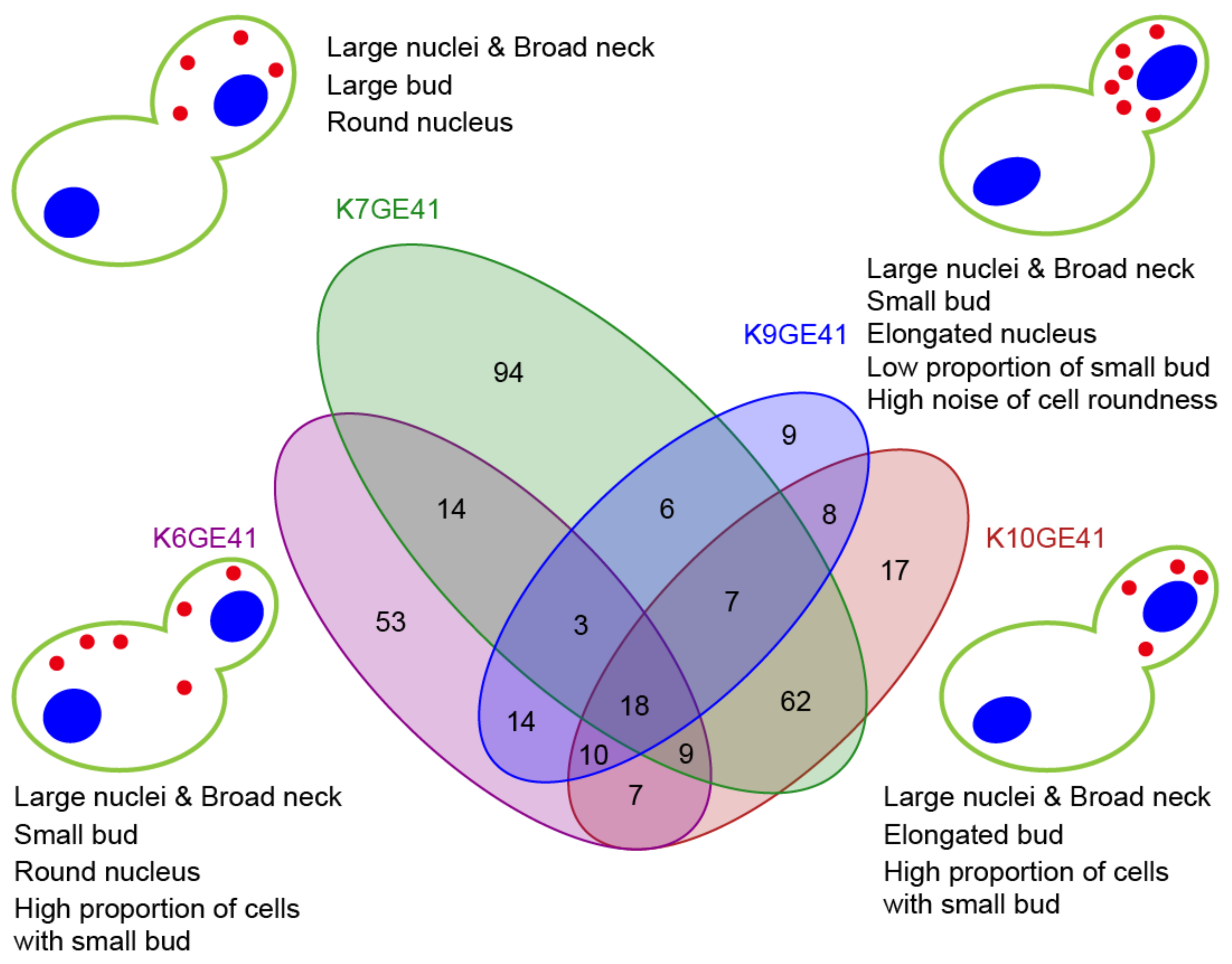 Microorganisms 11 01274 g006 Microorganisms 11 01274 g006