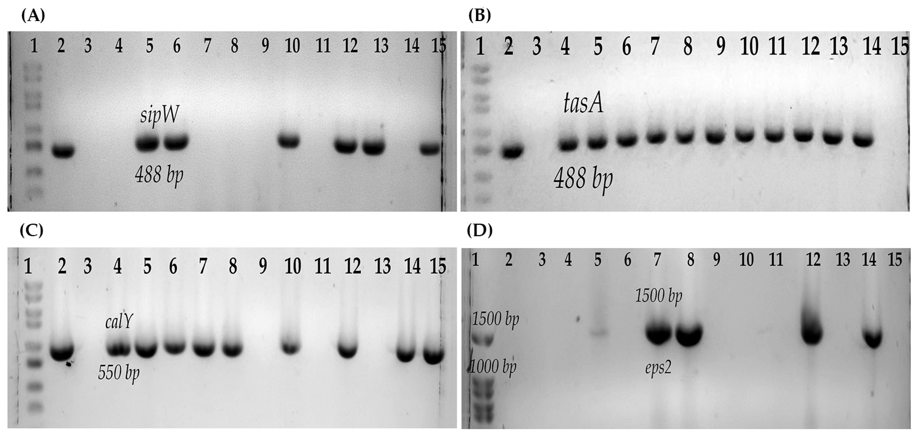 Microorganisms 11 01290 g002