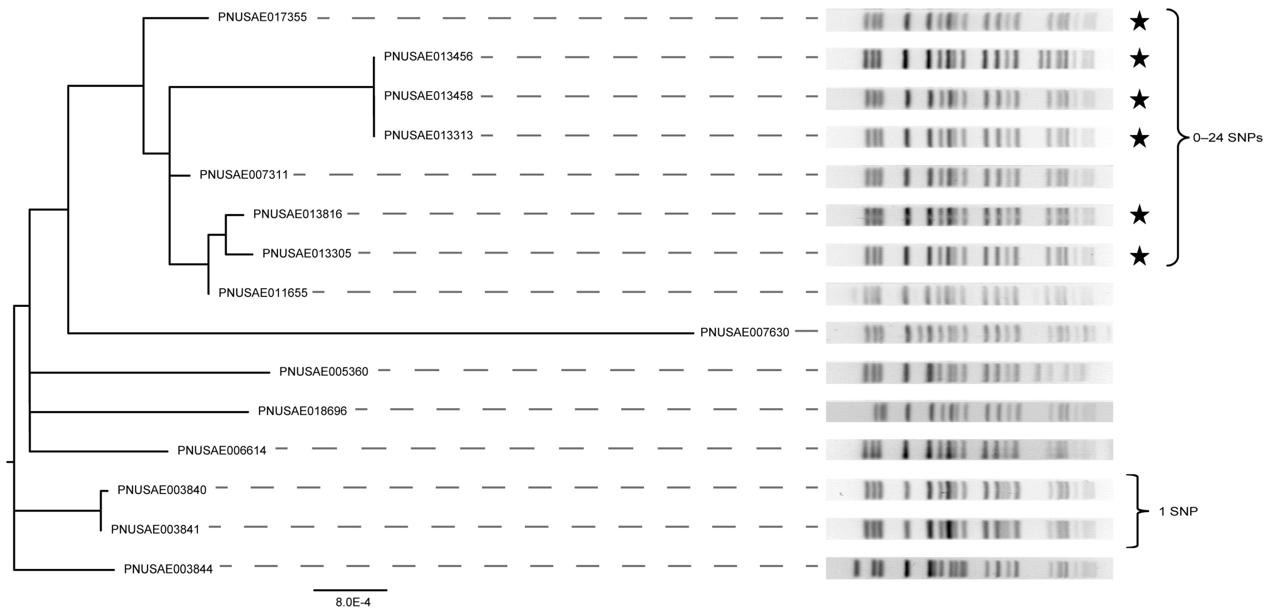 Microorganisms 11 01298 g004