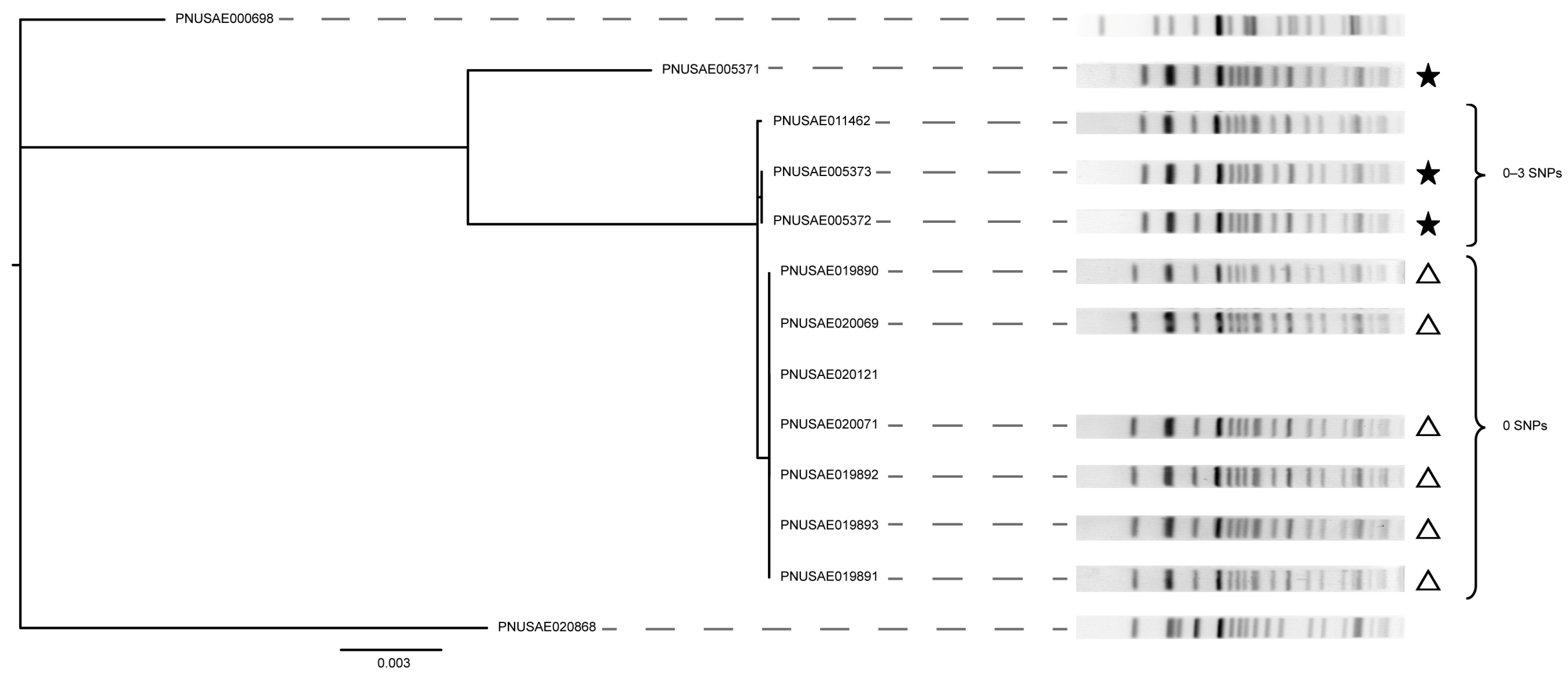 Microorganisms 11 01298 g005