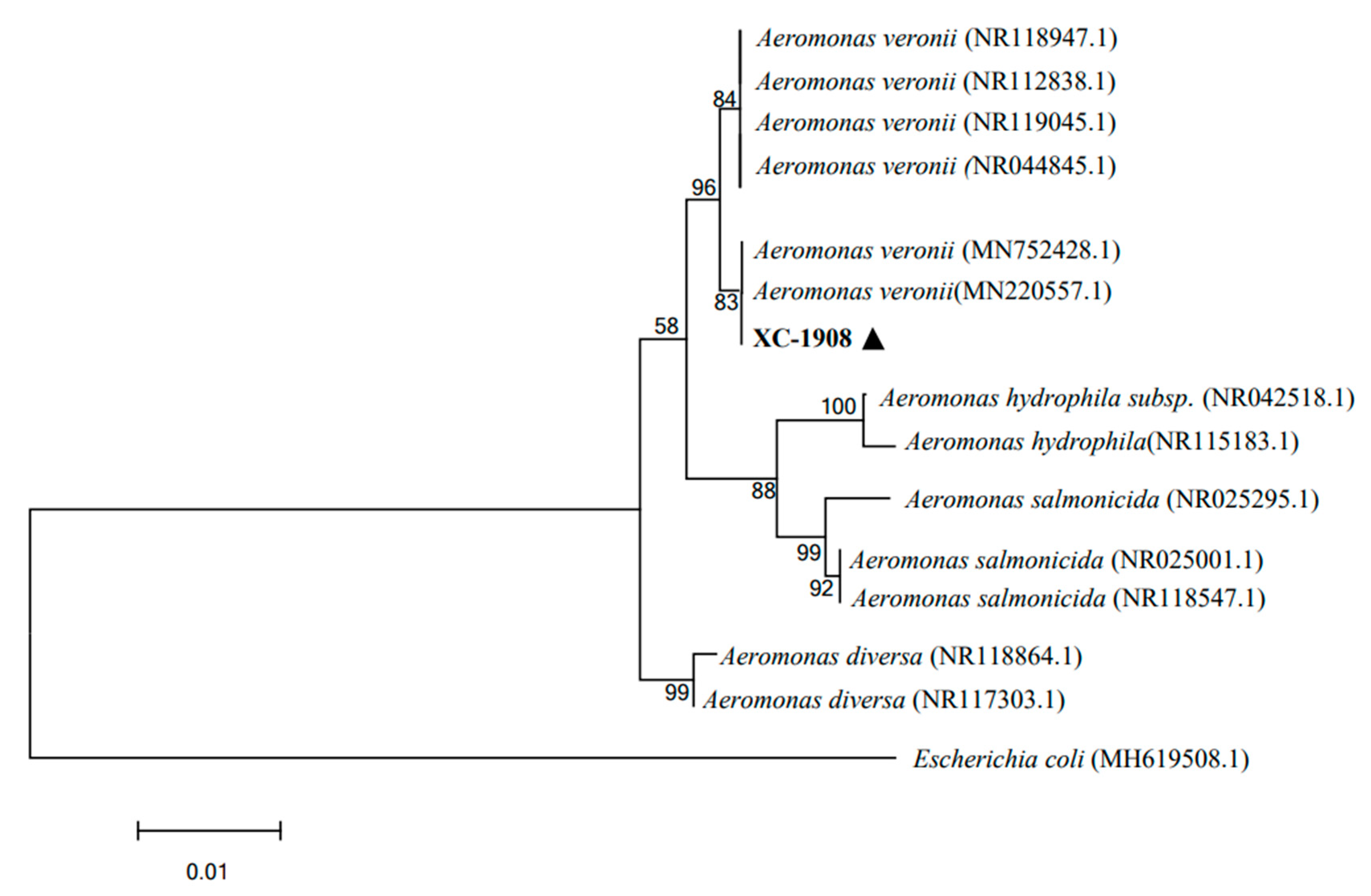 Microorganisms 11 01304 g004 Microorganisms 11 01304 g004