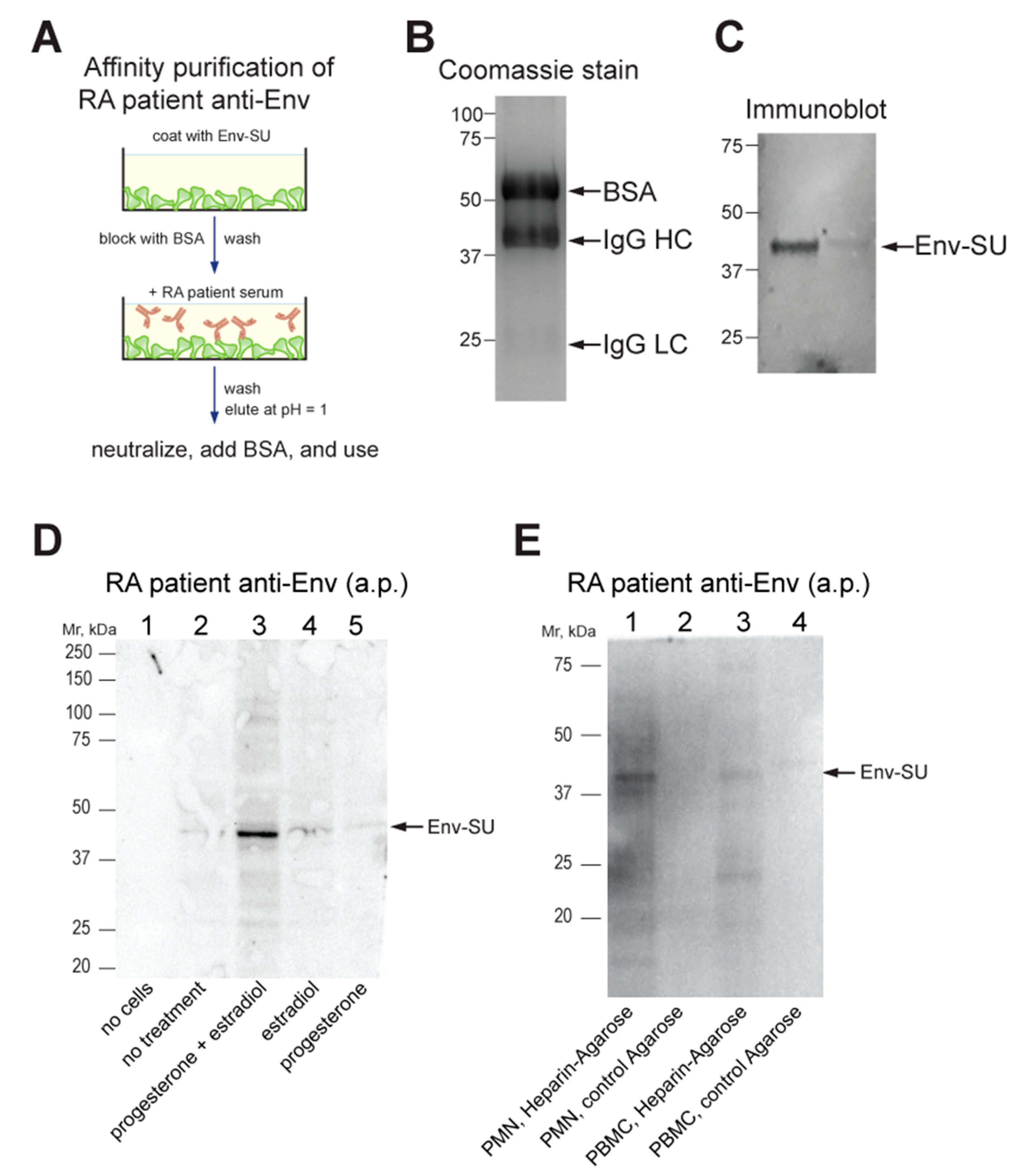 Microorganisms 11 01310 g002